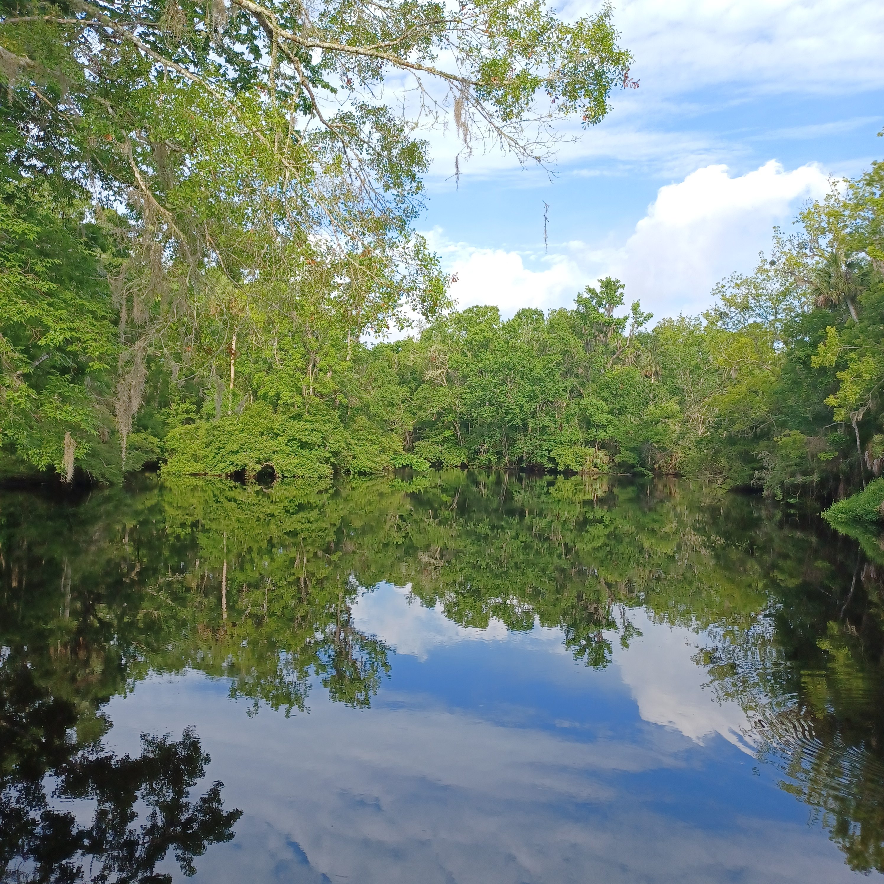 River Rise Cottage On the Aucilla