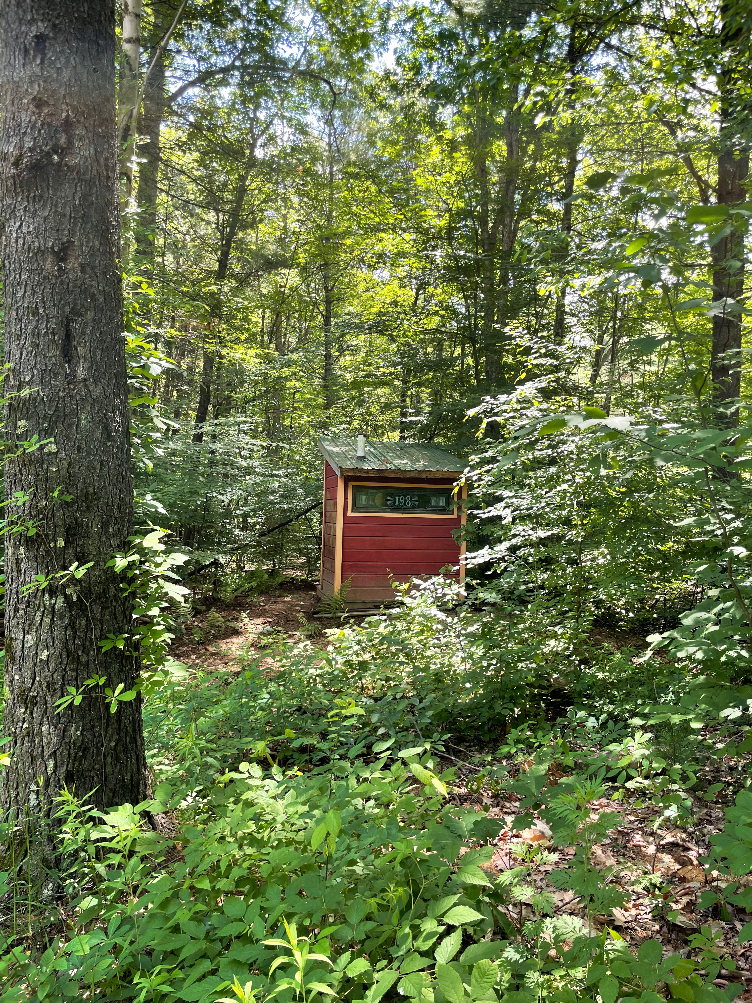 The Awakening Garden