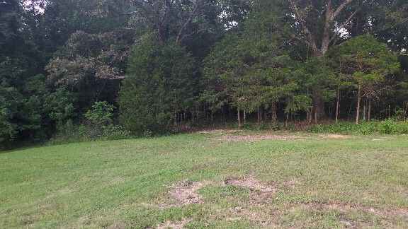 Hawk Holler Farm