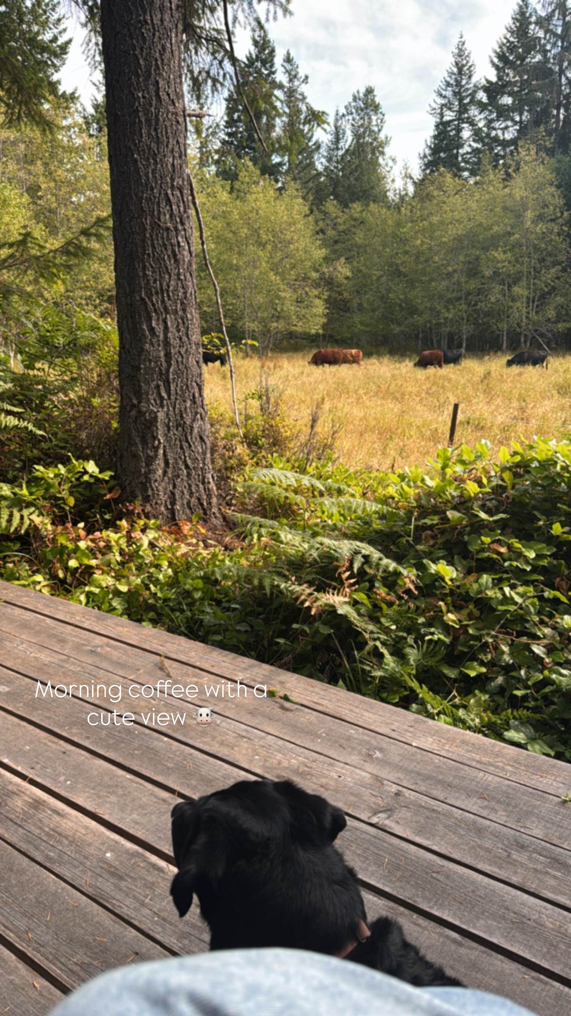 Tyee Valley Farm - Private Forest Sites in the Comox Valley