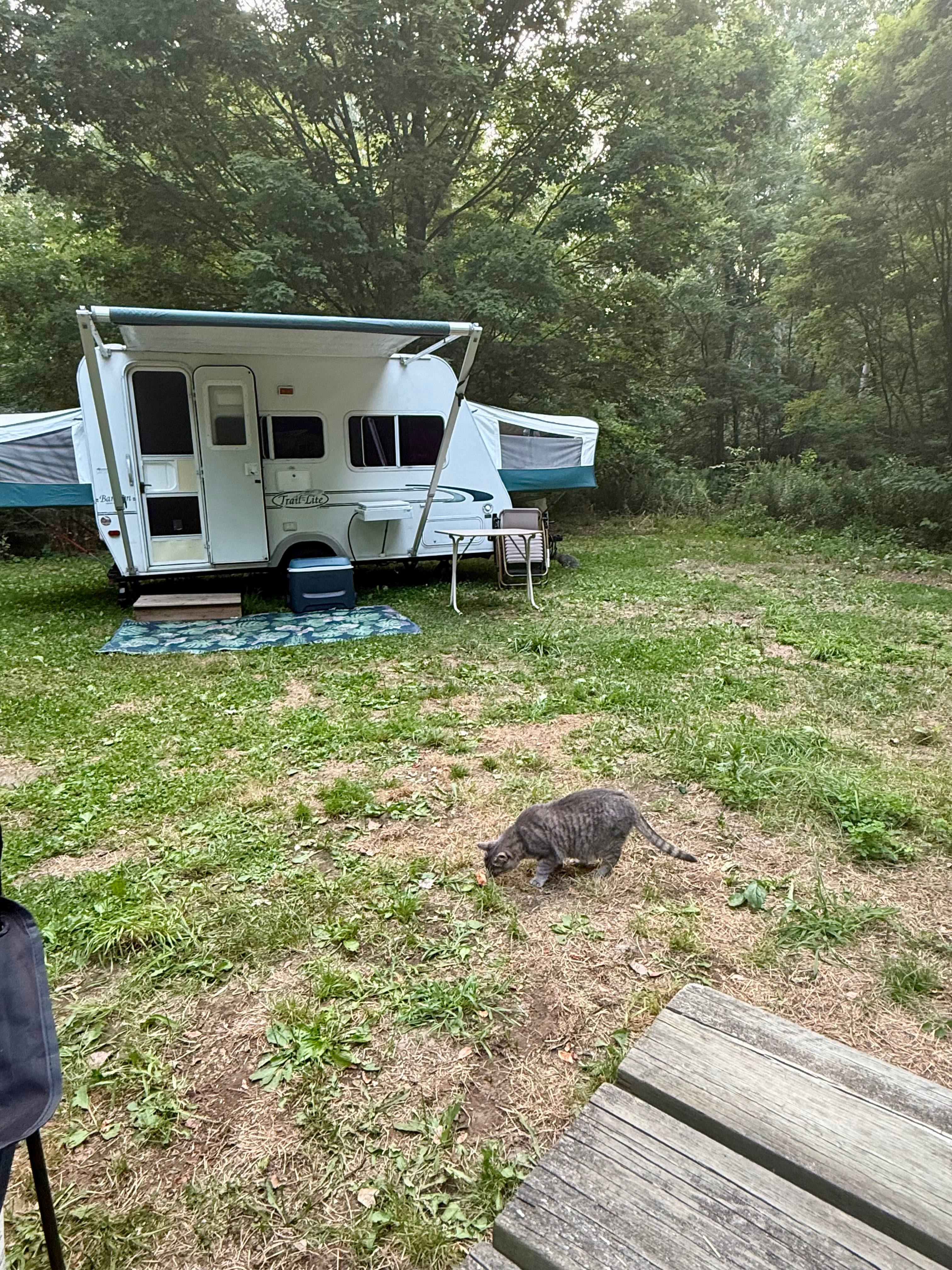 Miss Luna hanging out with us 