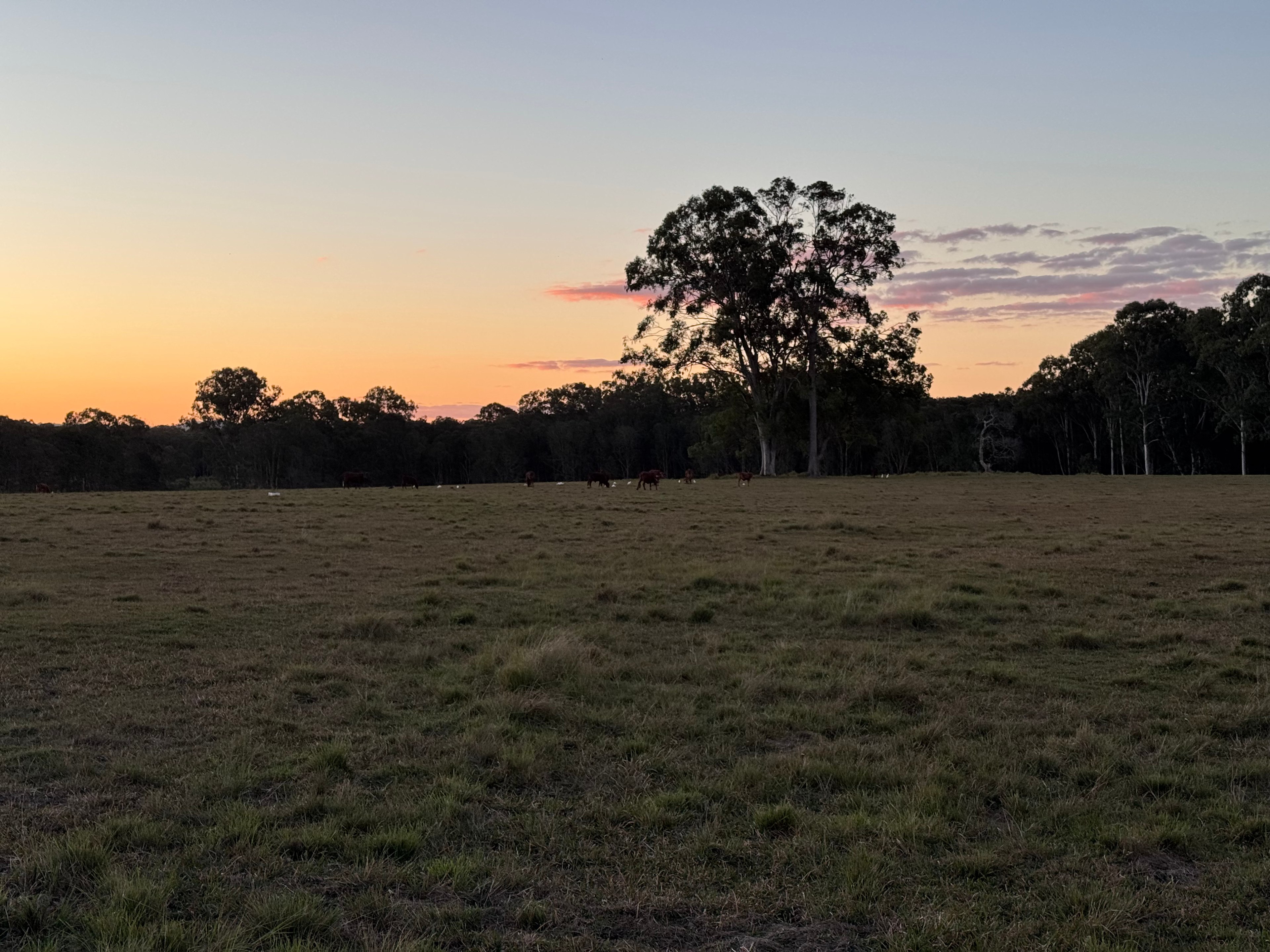 The Home Farm