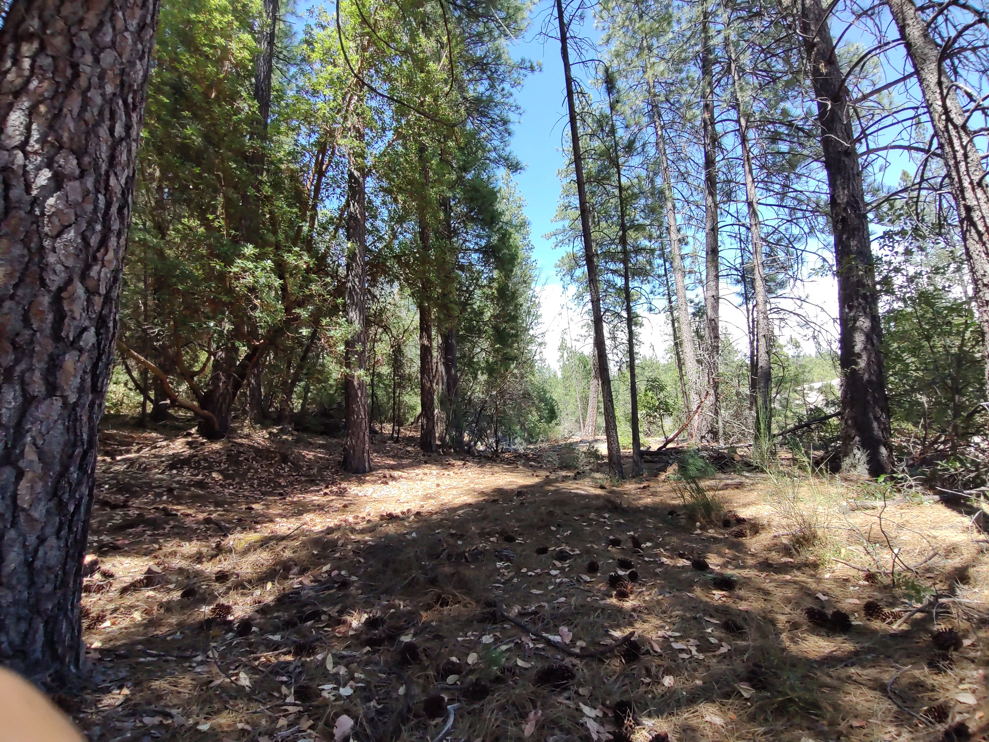 Quartz creek campground