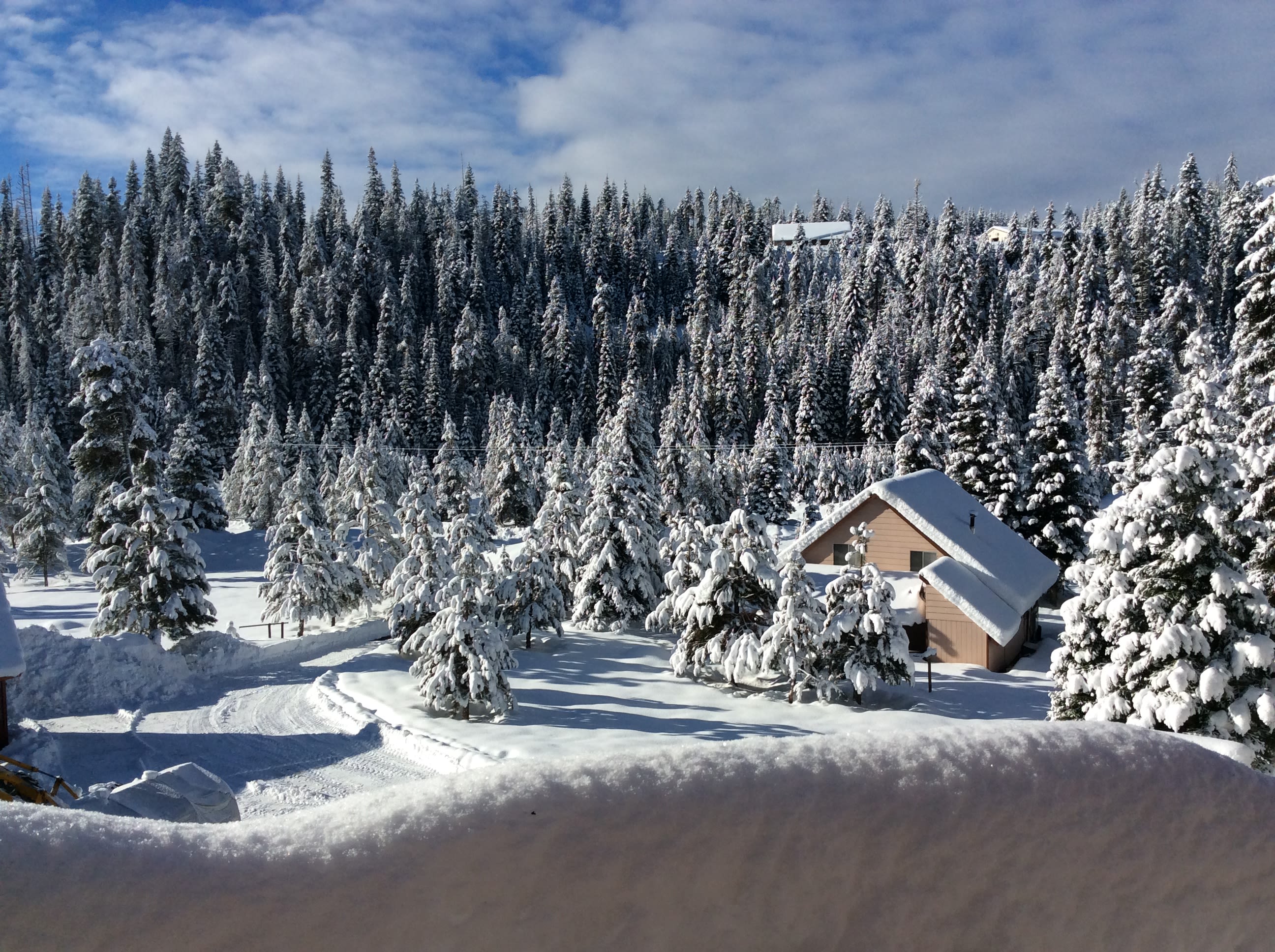 Winter wonder land
