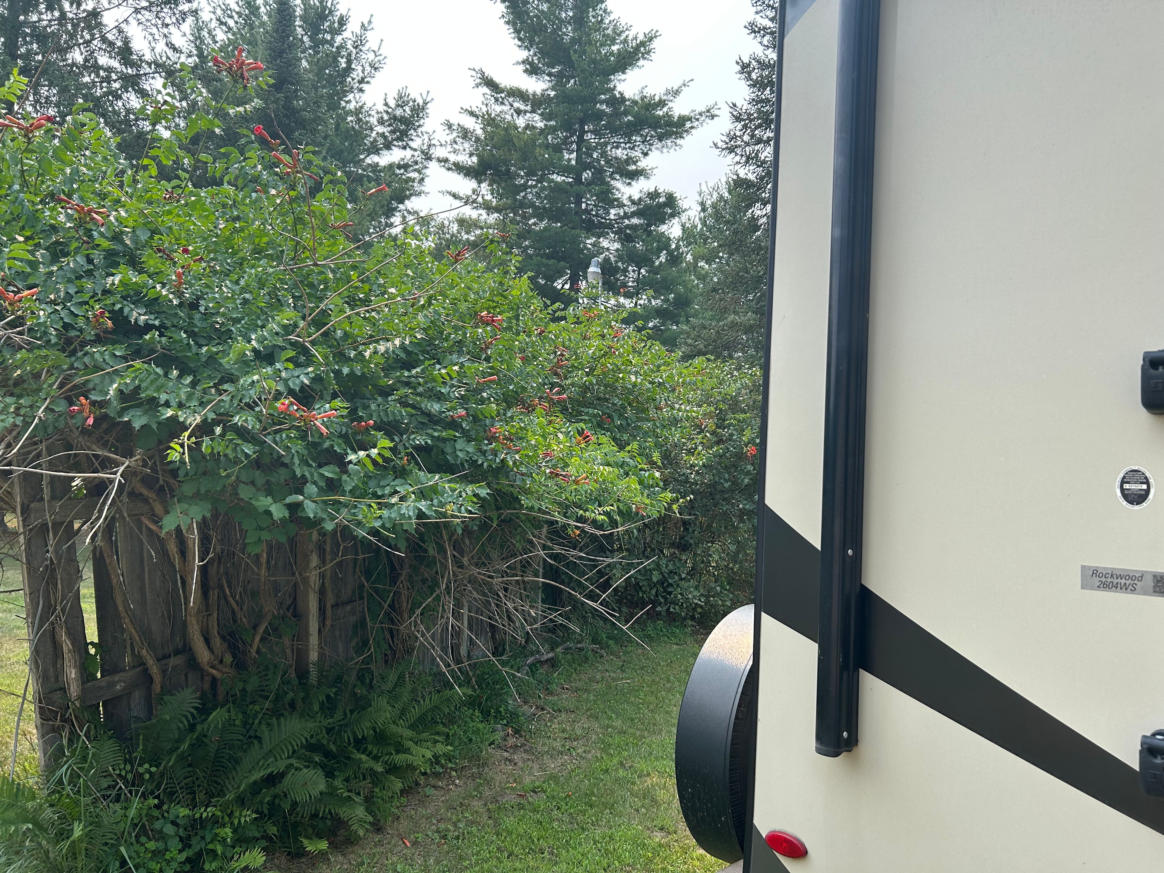 White Pine Outpost near the Lakes.