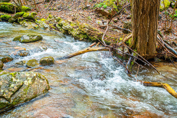 Secluded Creekside RV Site
