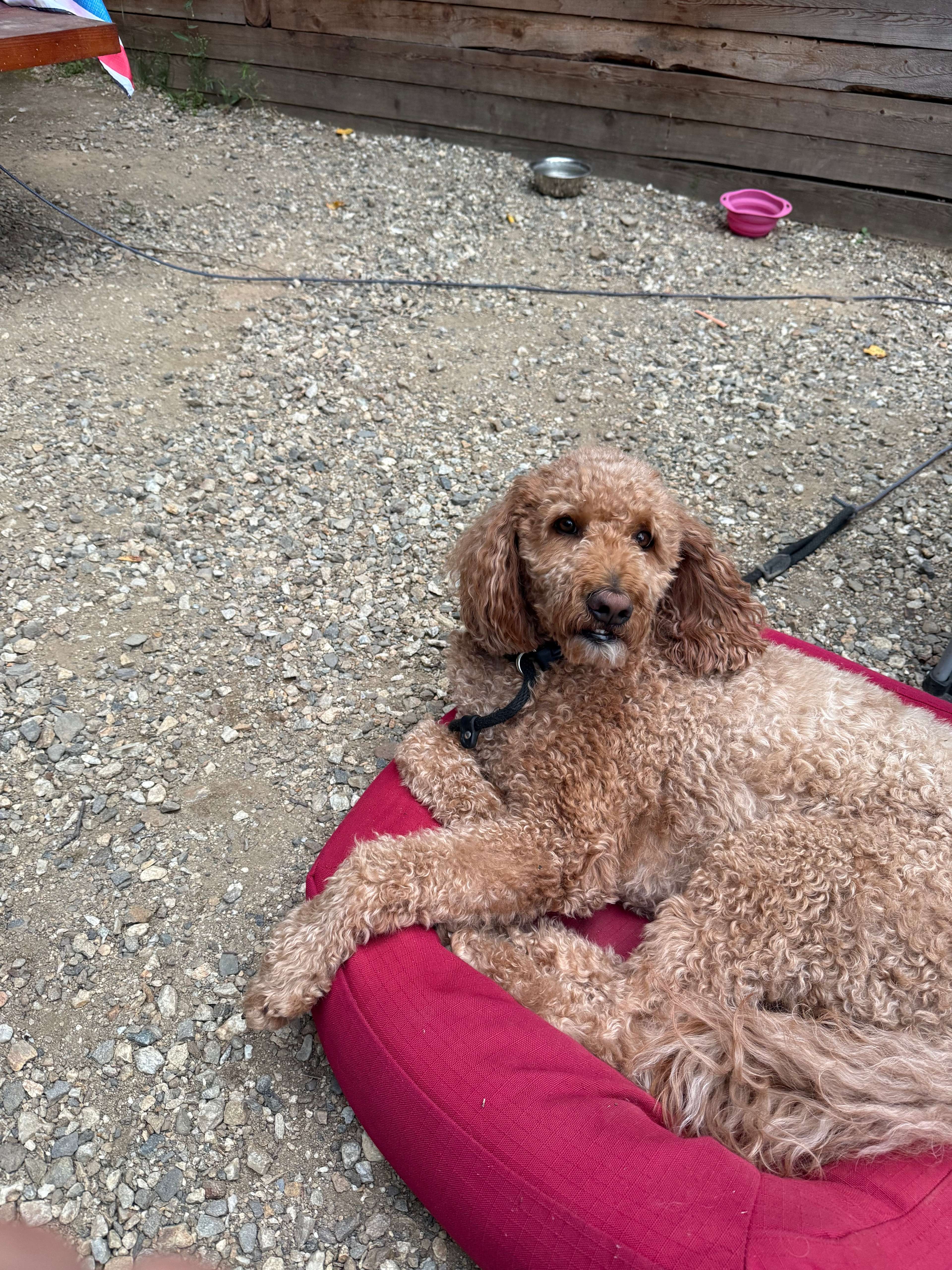 Deep Creek Cabin And Tents