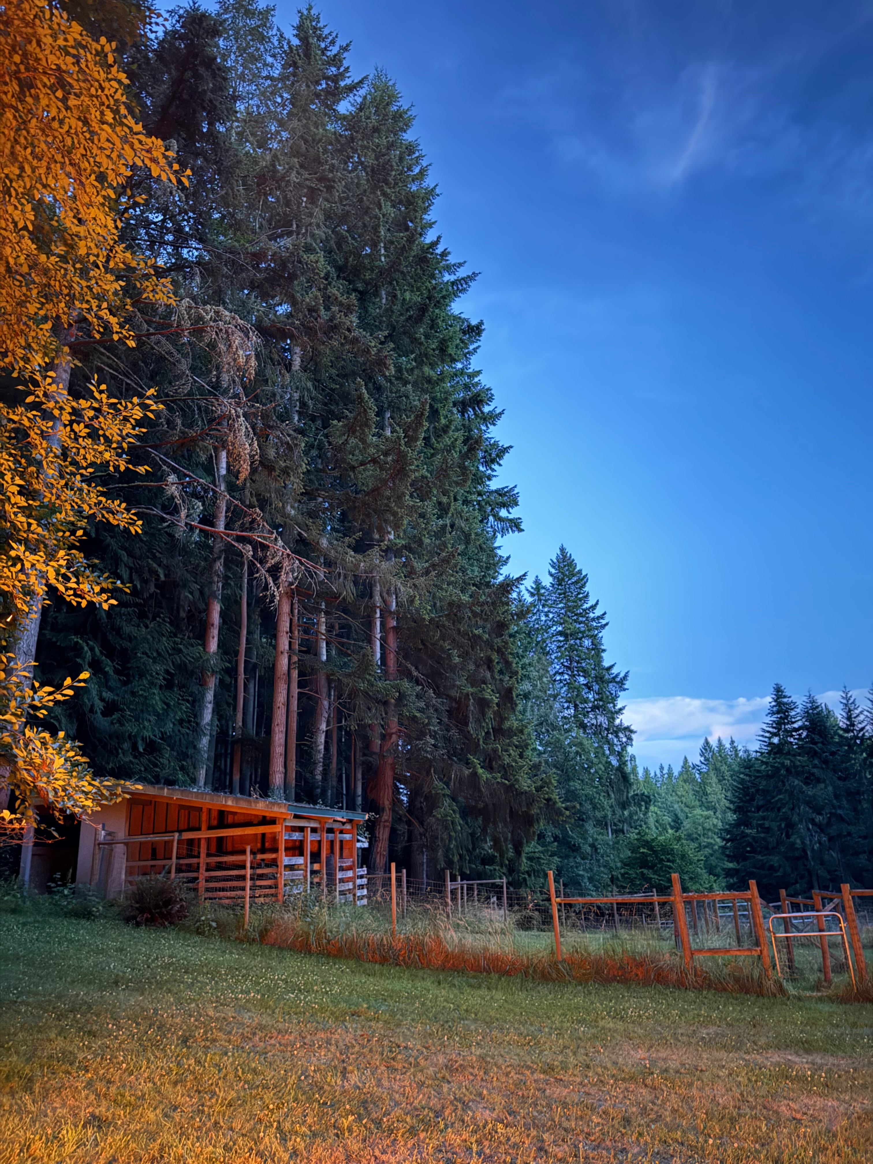 The Hollow - Secluded Yurt Stay