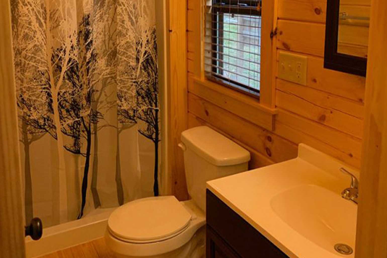 Kittatinny Cabin (1)