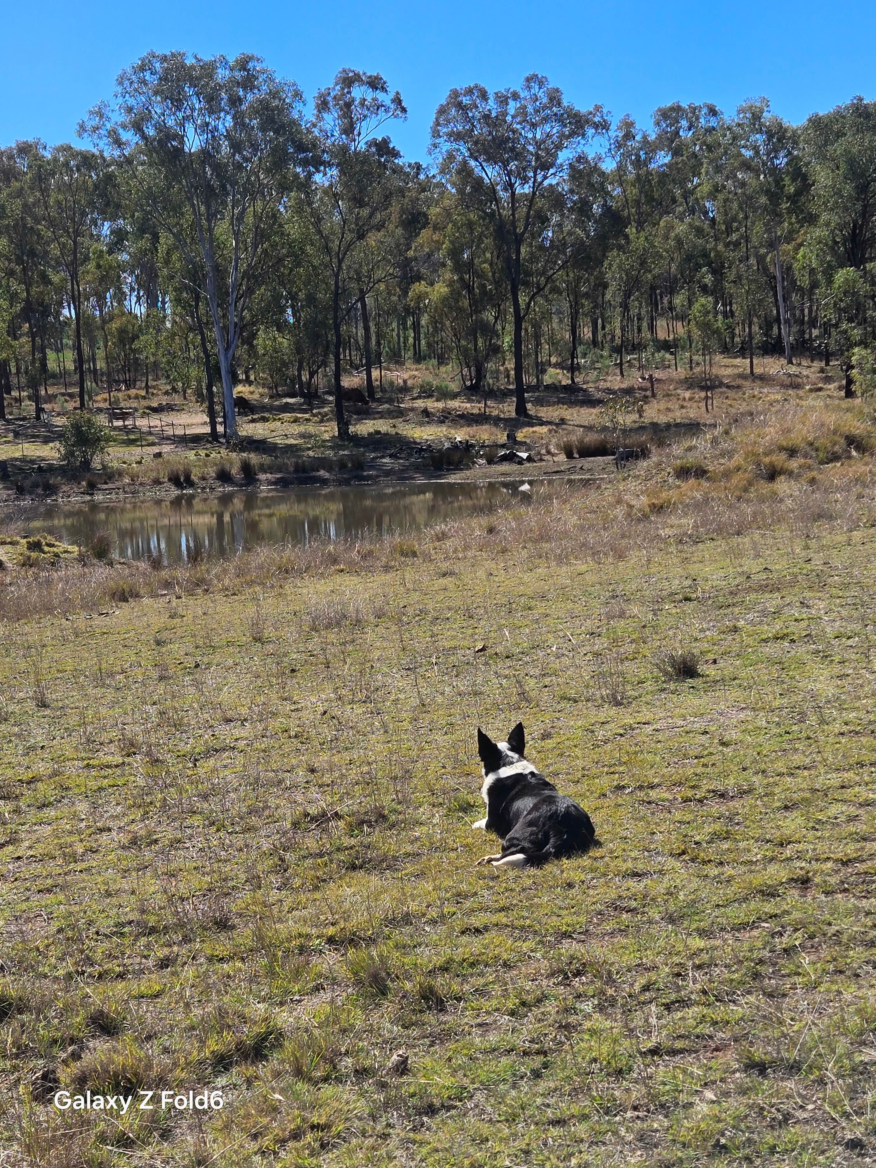 Rock Hill Home Retreat