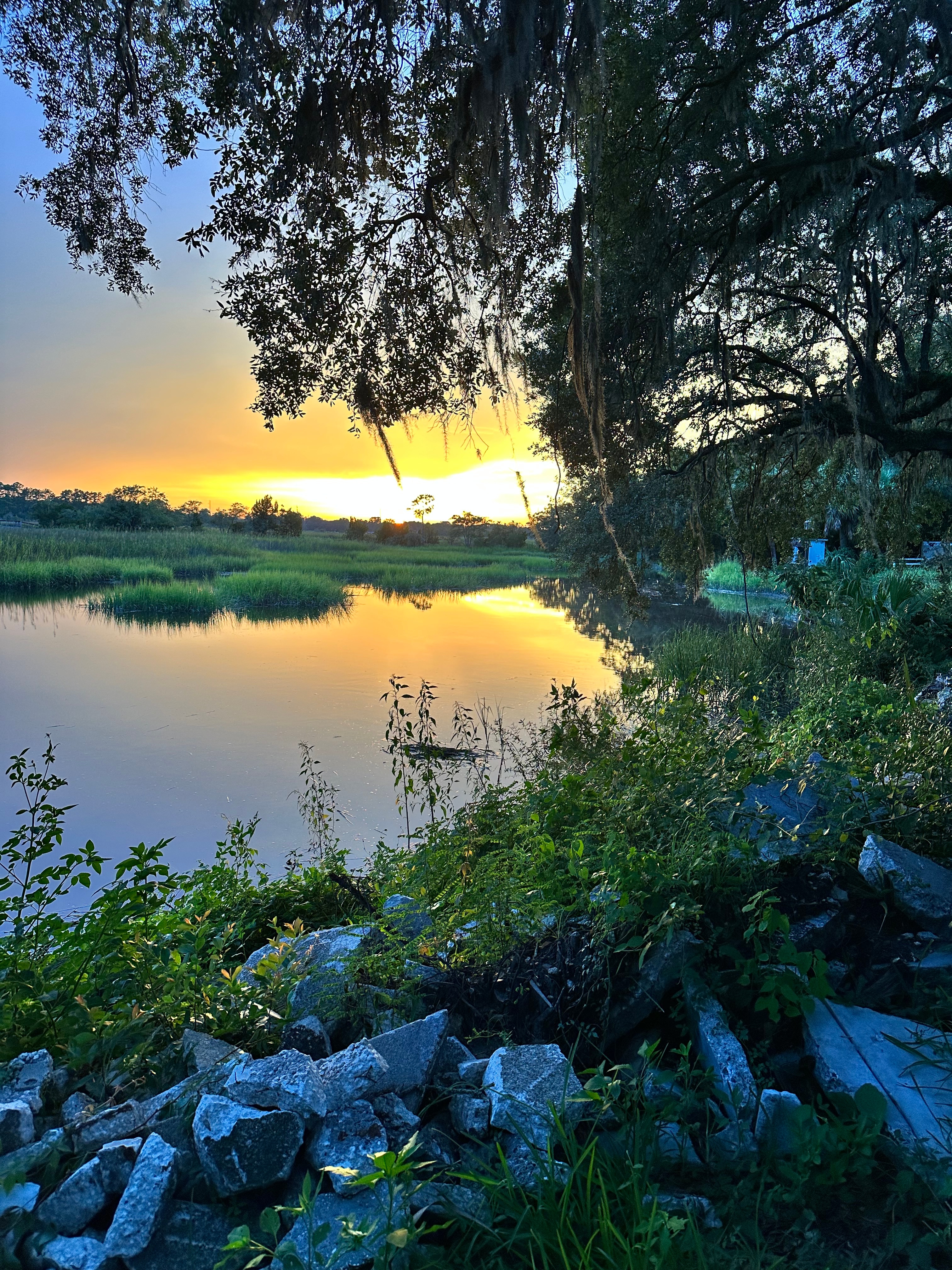 Paradise Under The Oaks
