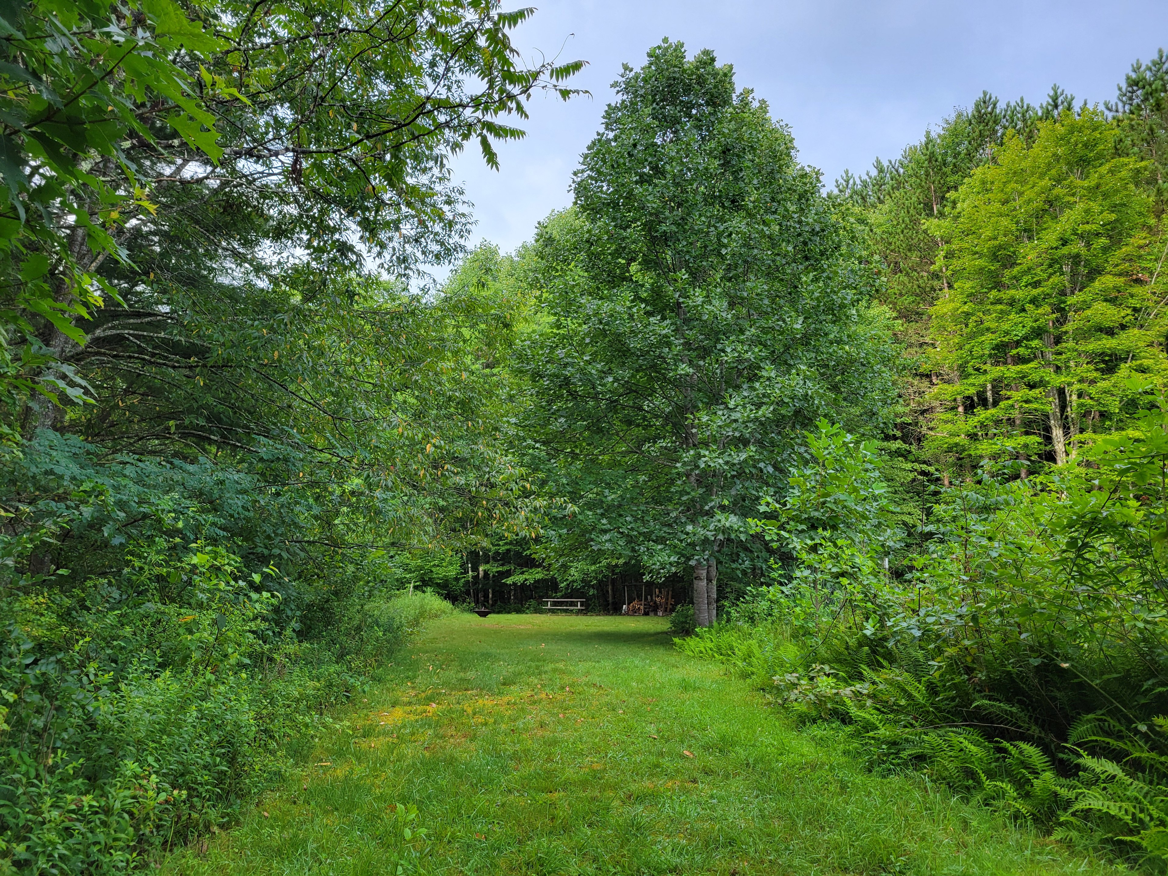 The Yew Mountain Center