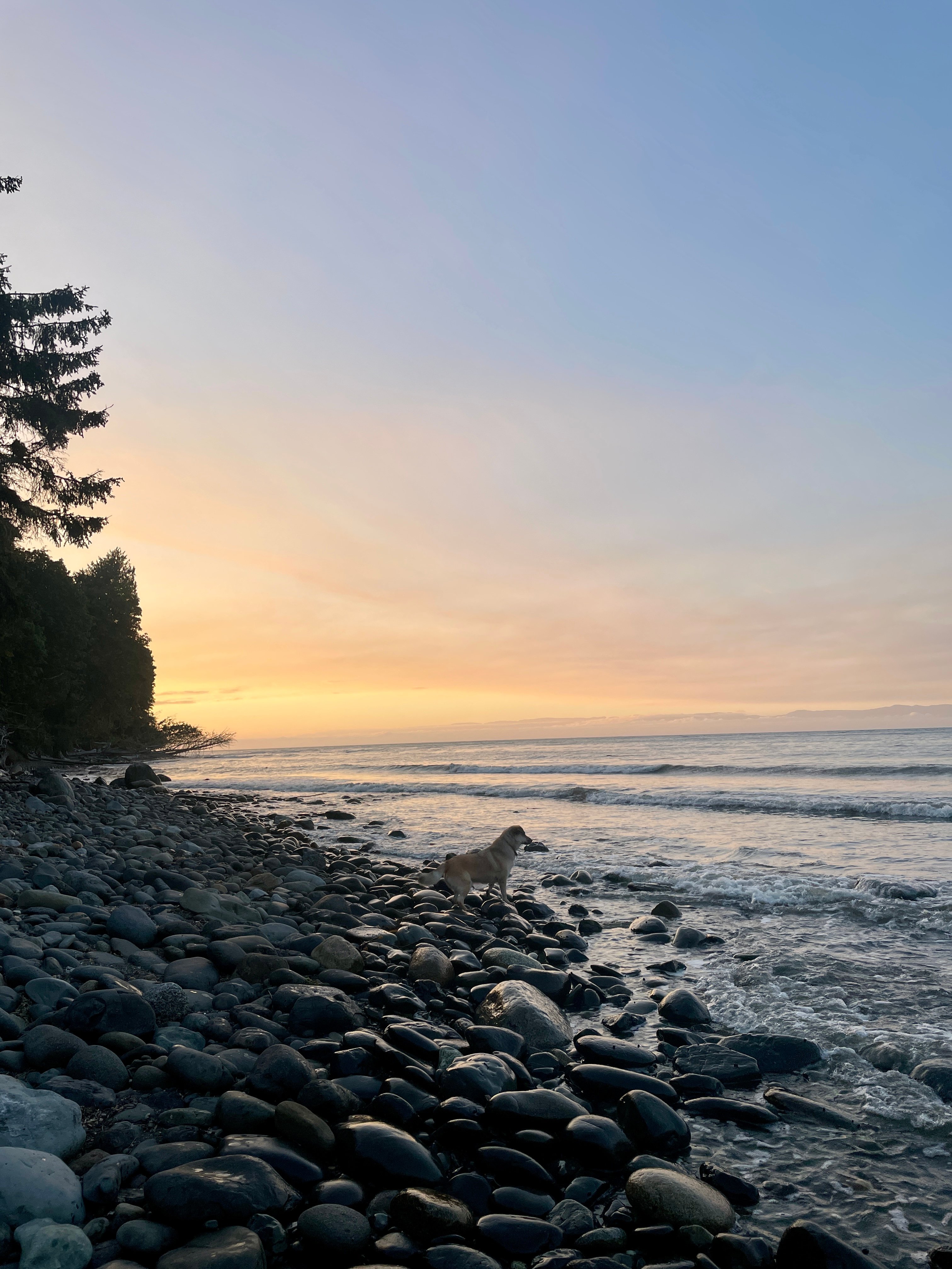 Weekend Warriors New Location