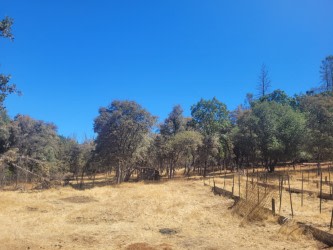 Off-Grid Mtn Getaway in the Pines