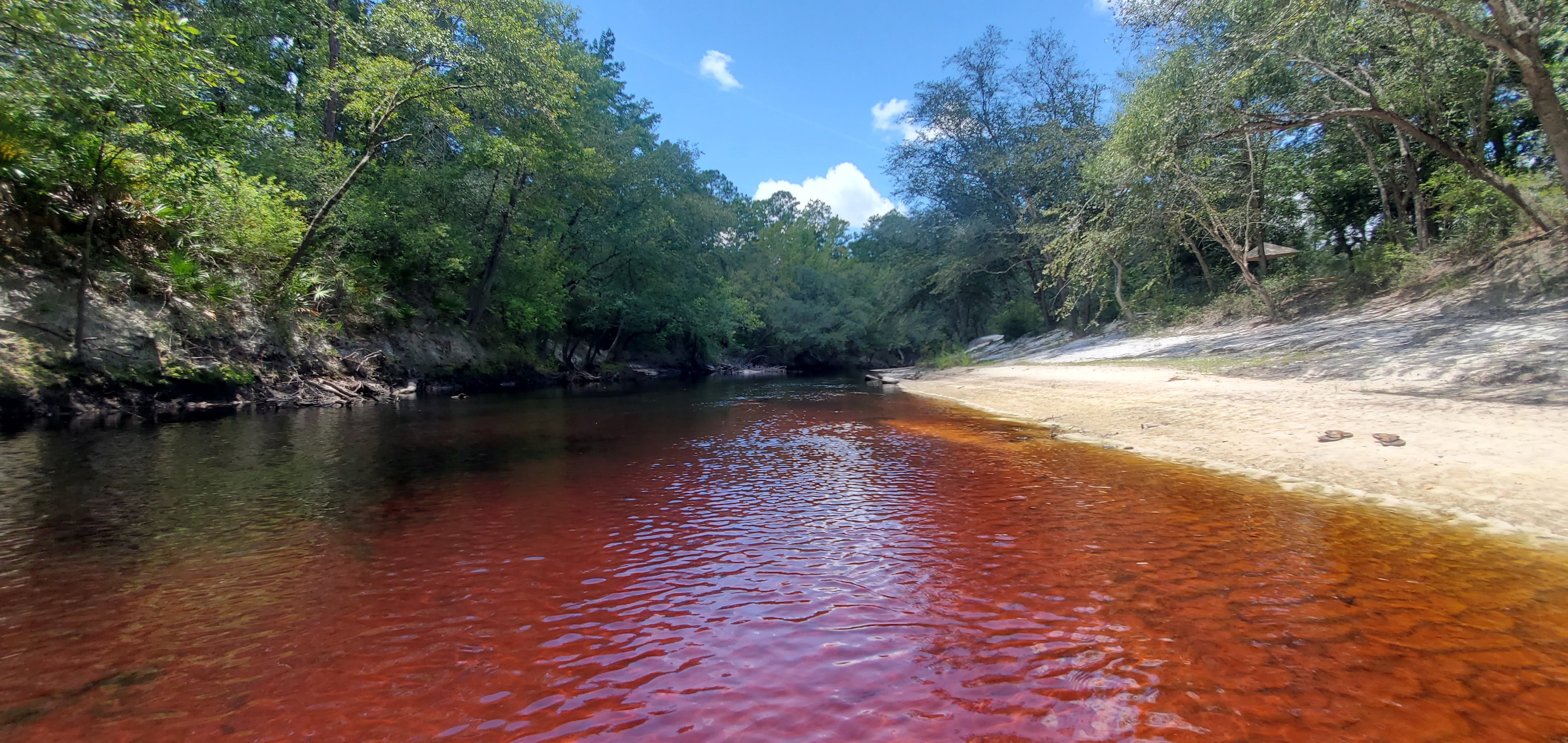 Blackwater River Camp