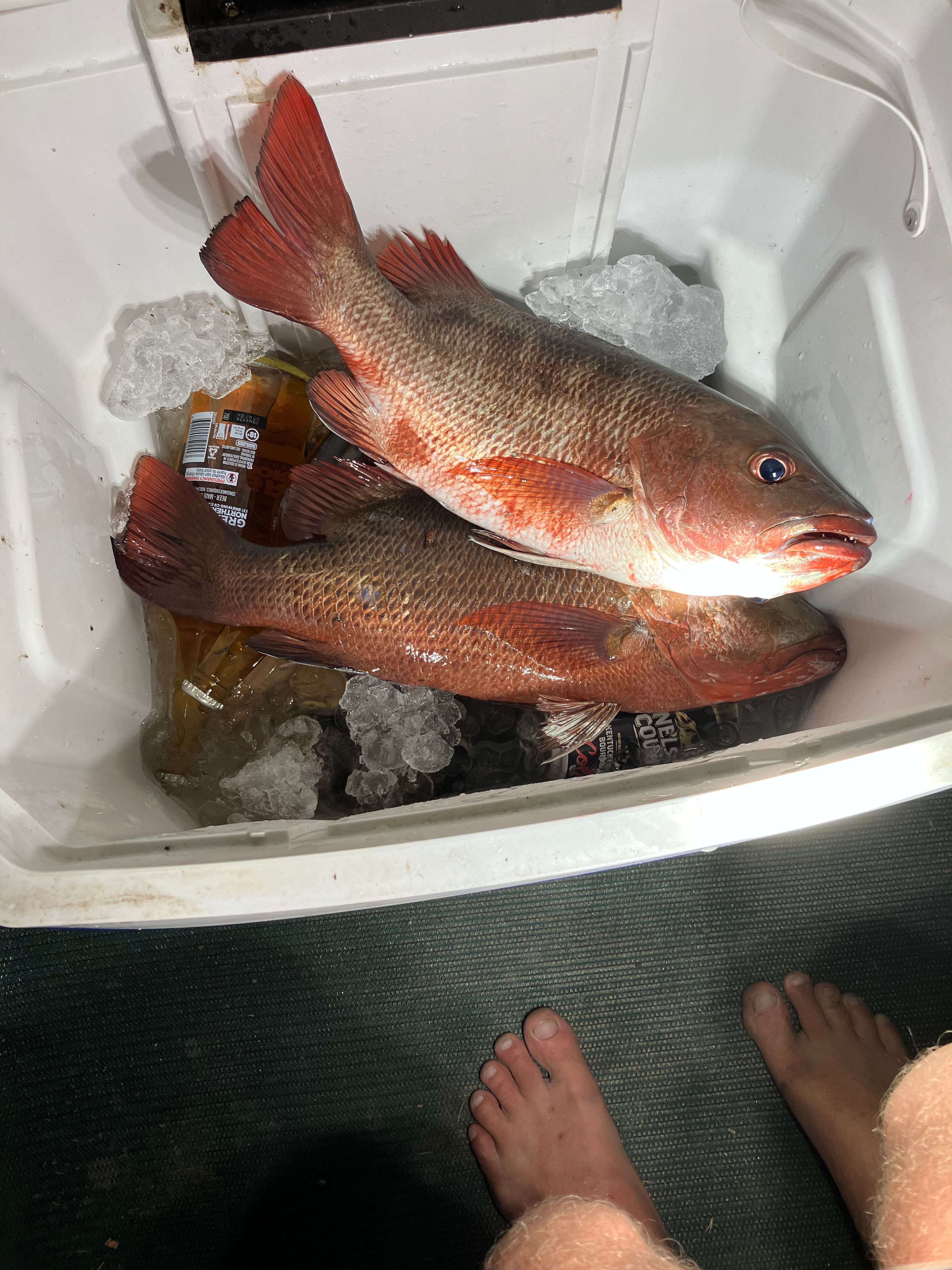 Buxton - Jekyll’s Hide