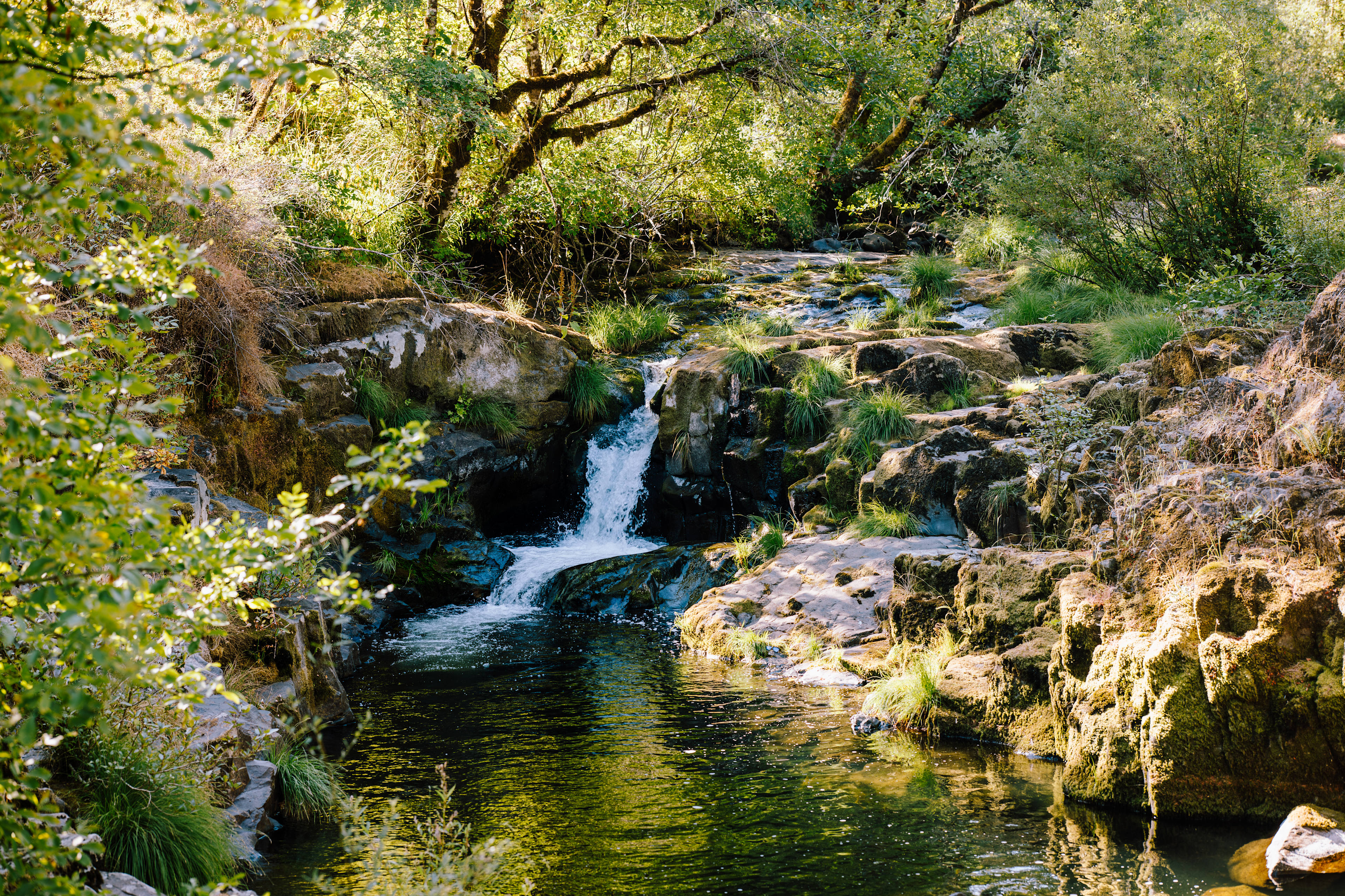 waterfall and swimming hole just steps away from the sites!