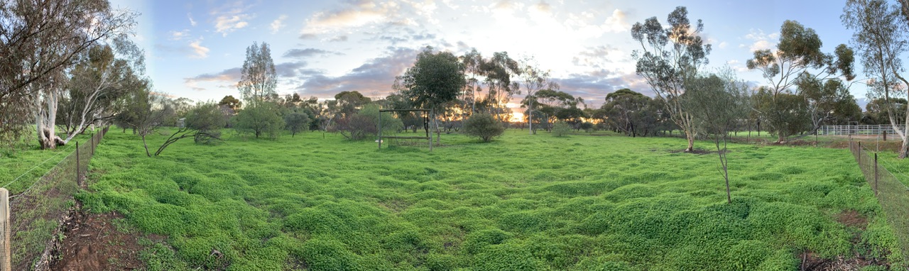 Exclusive Retreat In Your Backyard