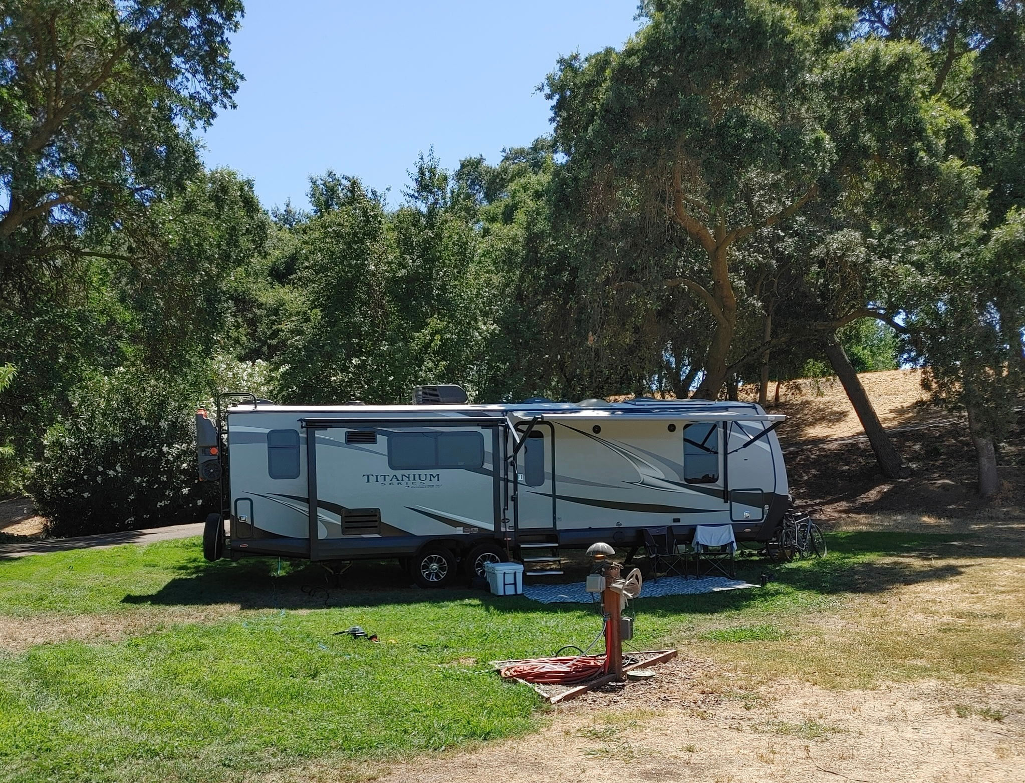 Sacramento Delta Vineyard View