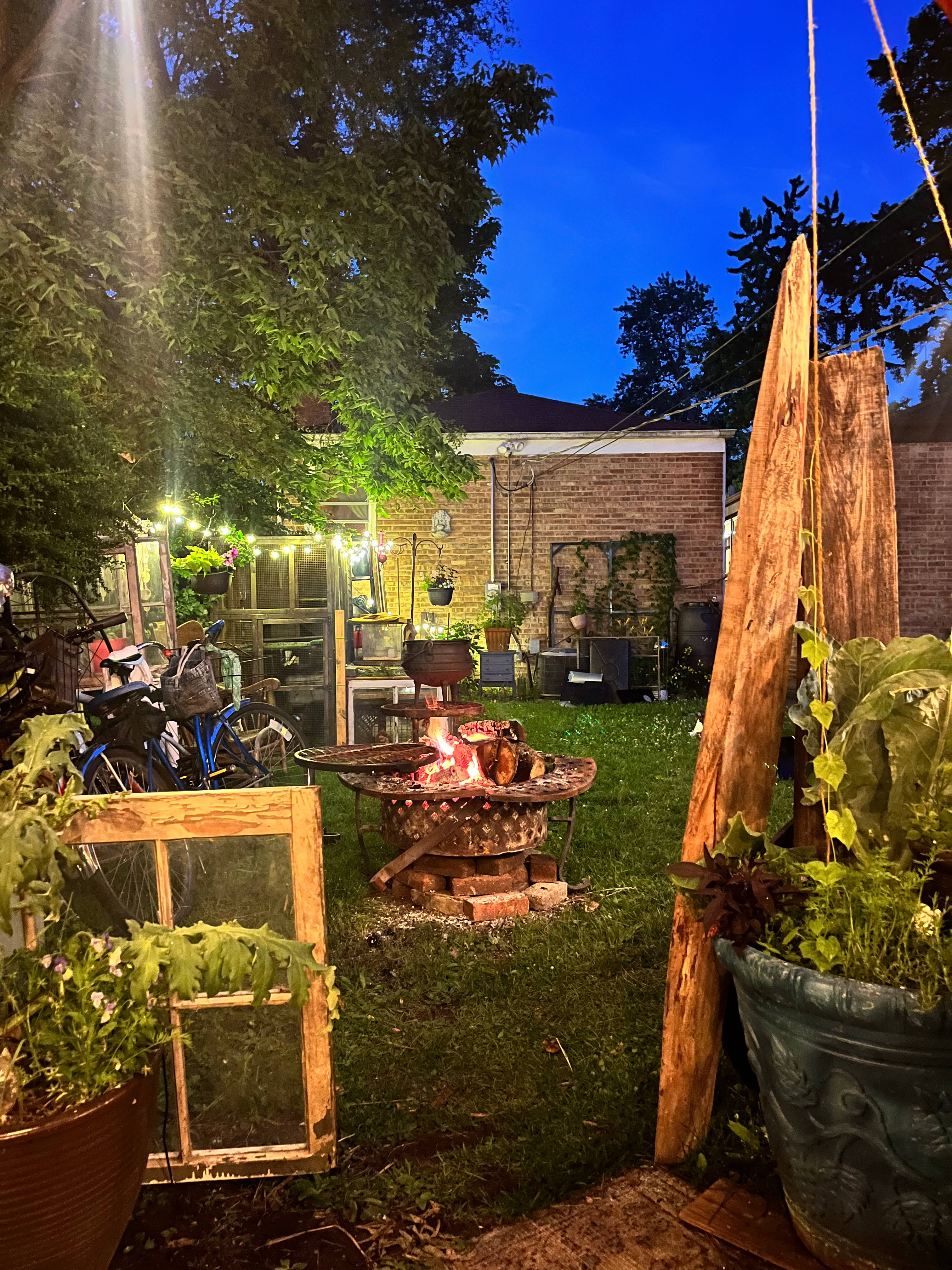 The Freckled Egg Urban MicroFarm