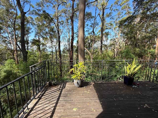 Dragon's Back Bush Retreat