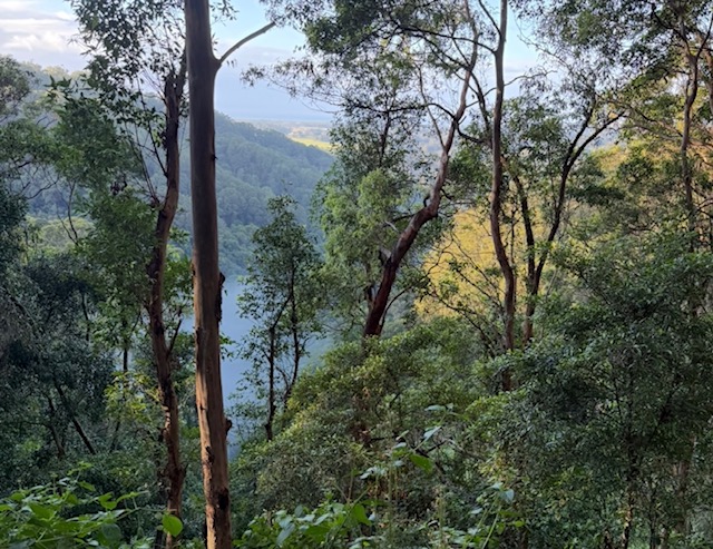 Misty morning valley view 