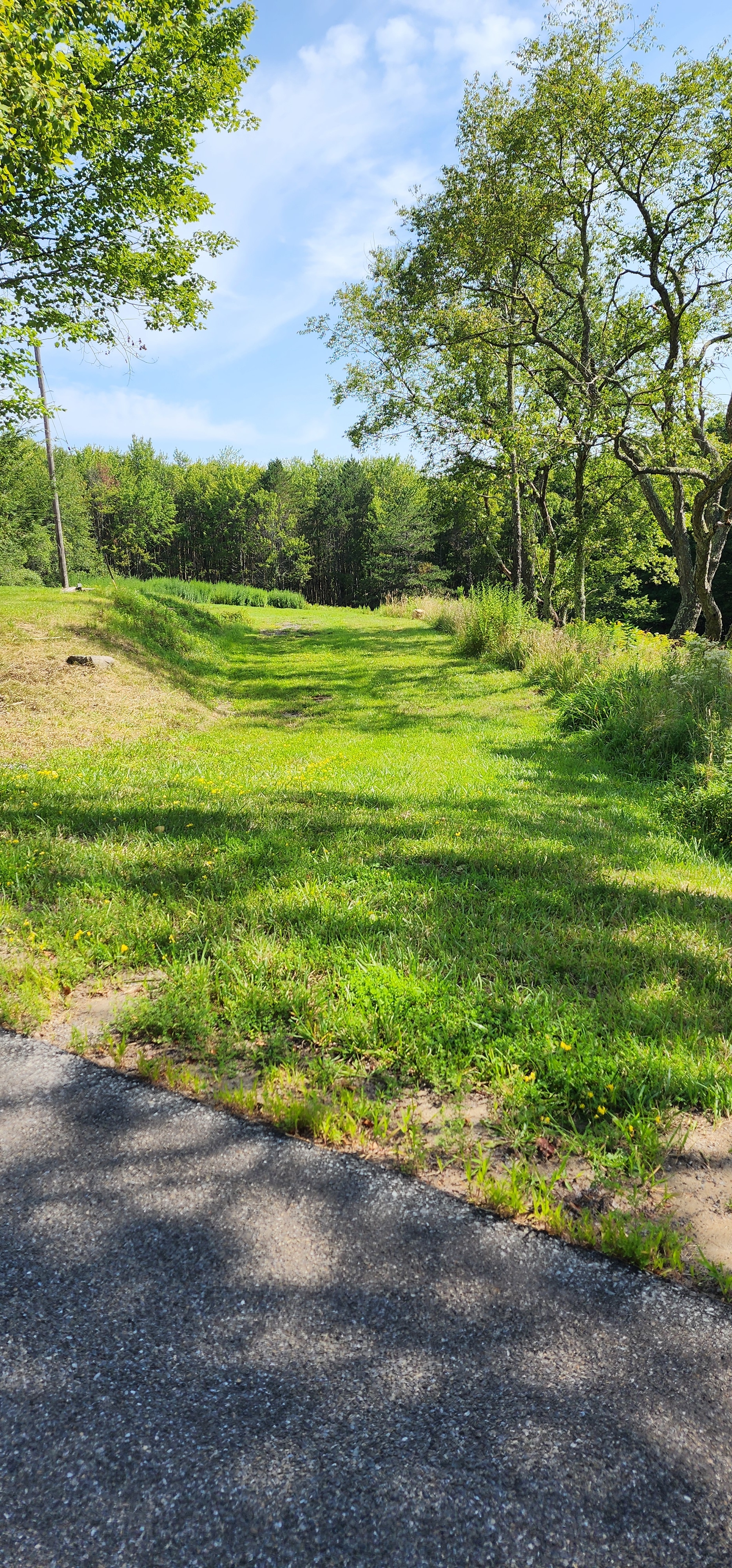 Catskills Mountain View