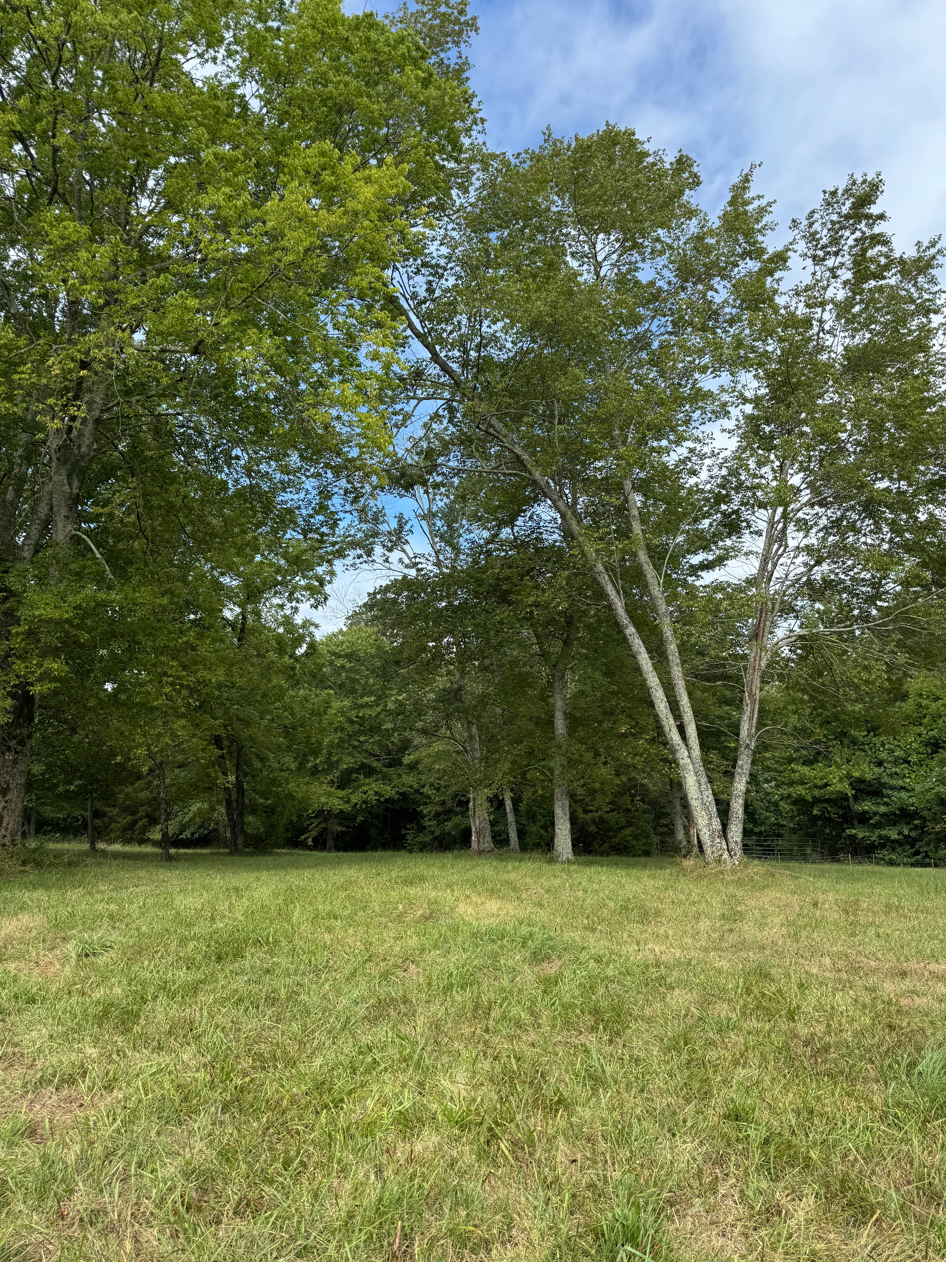Whispering Meadow Campground