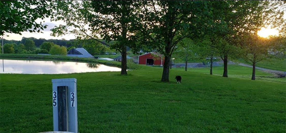 Little Lusk Campground And Lodging