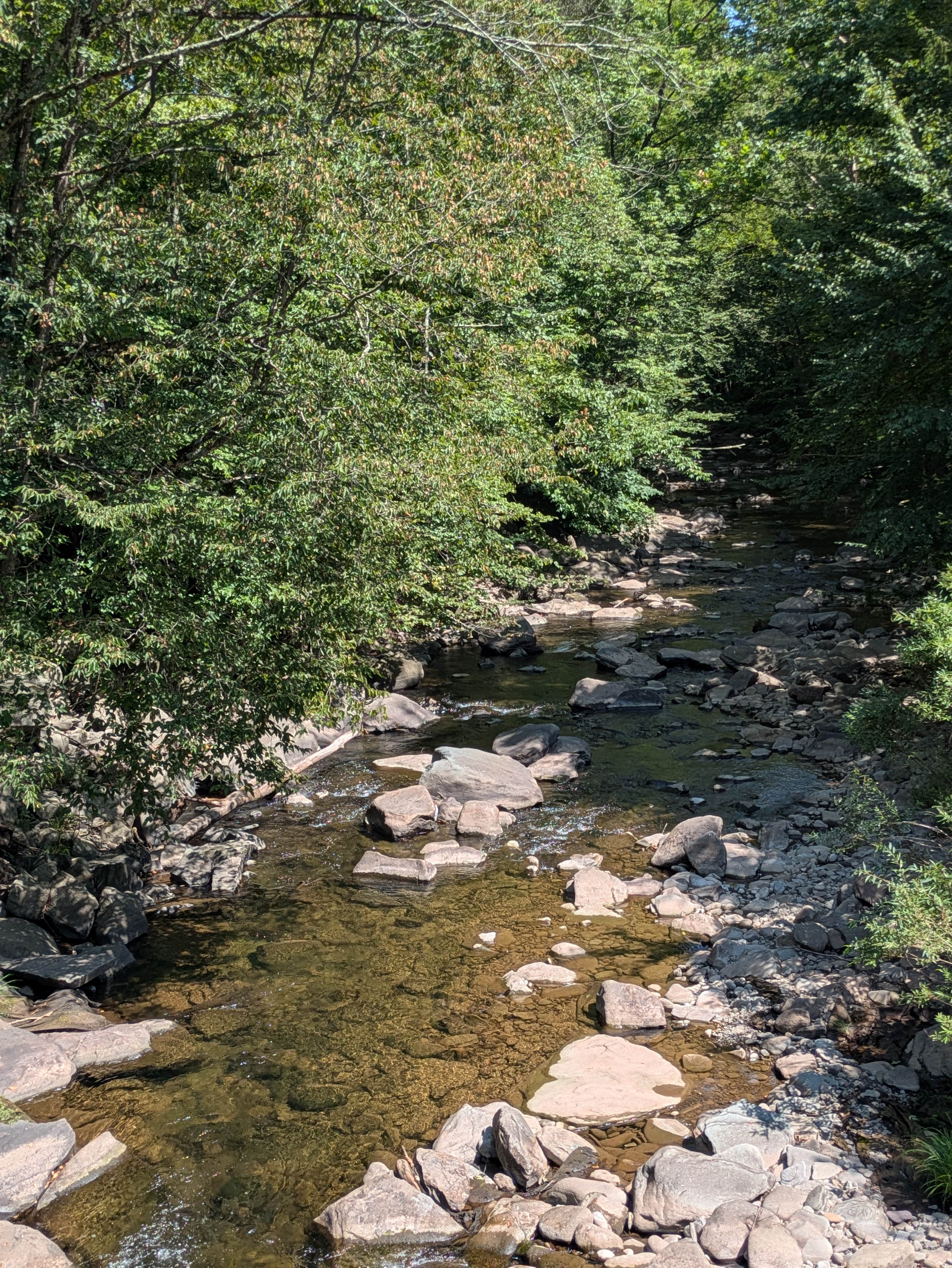 Camp Razoo