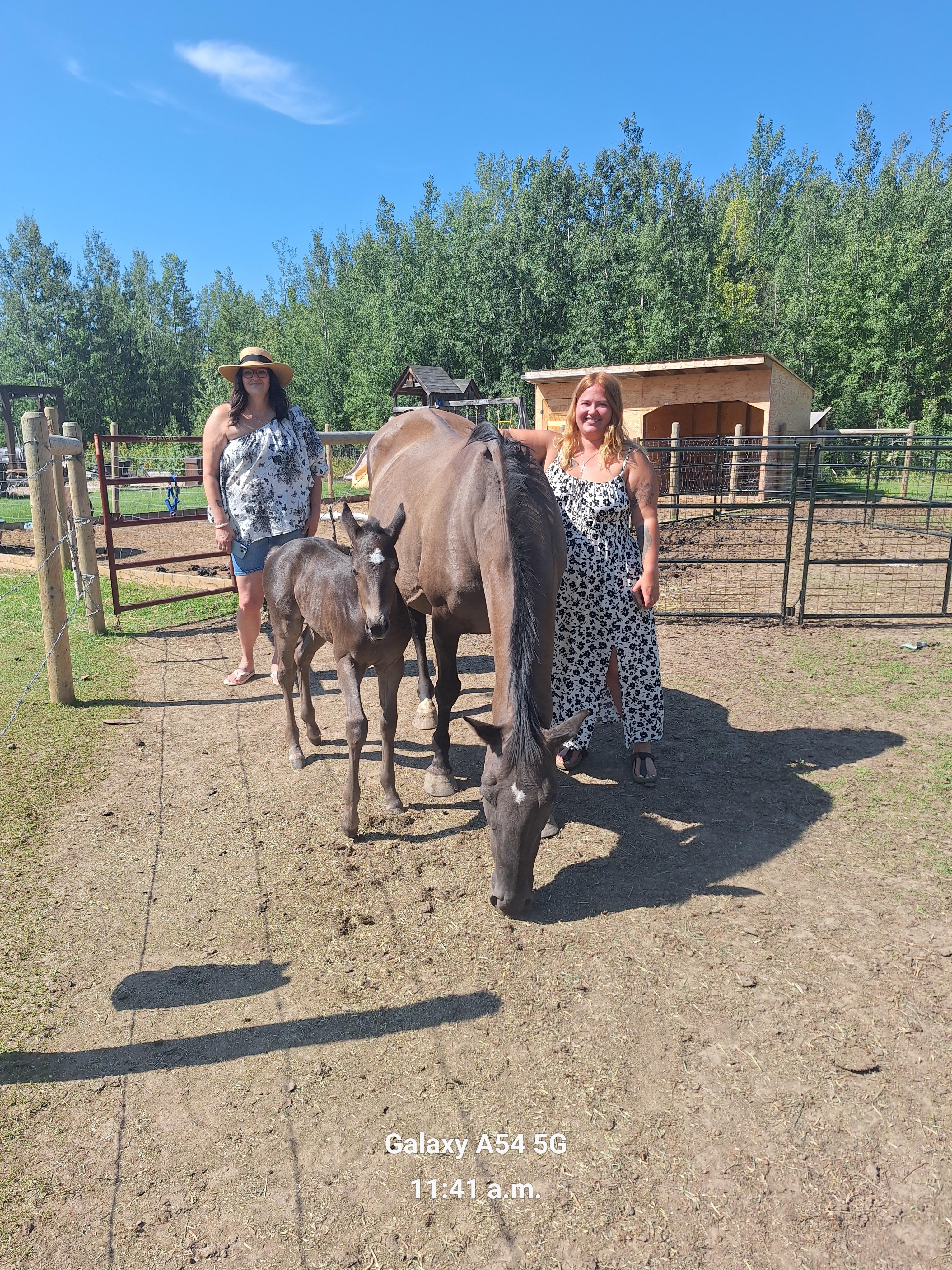 Adventure Awaits Getaways