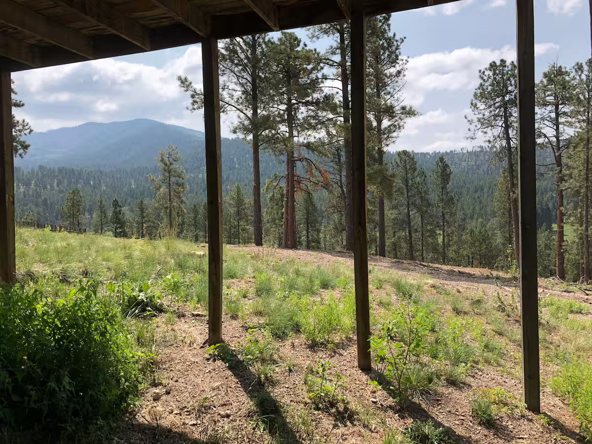 Backyard view overlooking Los Griegos mountain.
