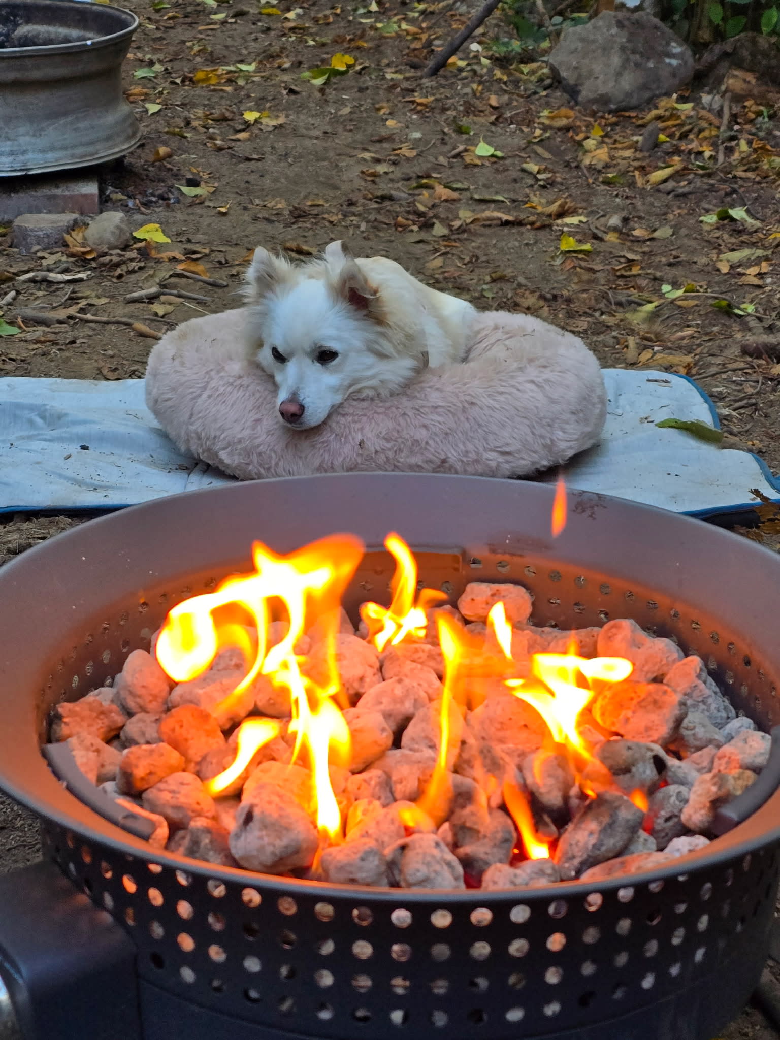 Weekend Warriors New Location