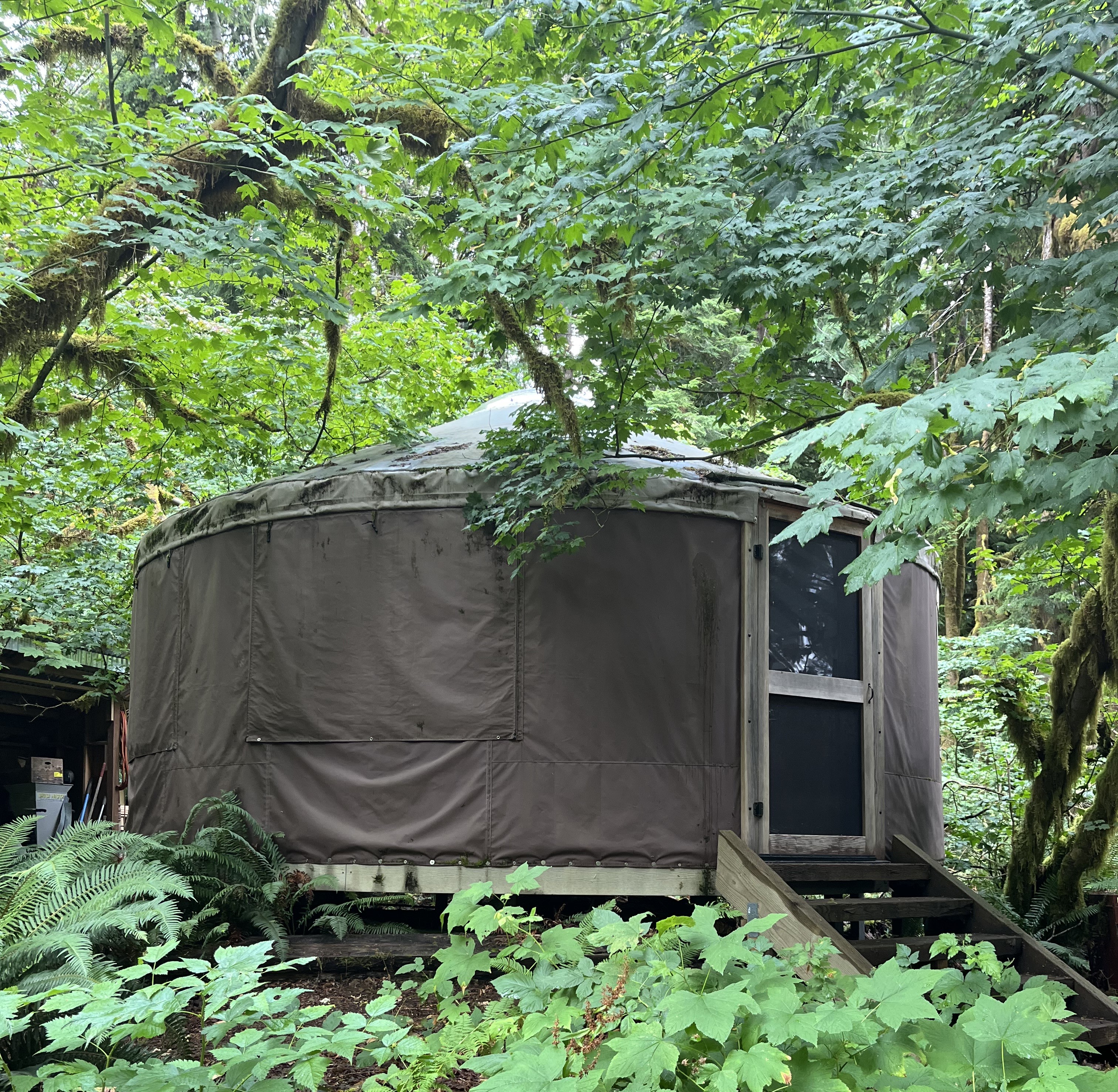 North Stilly River Yurt