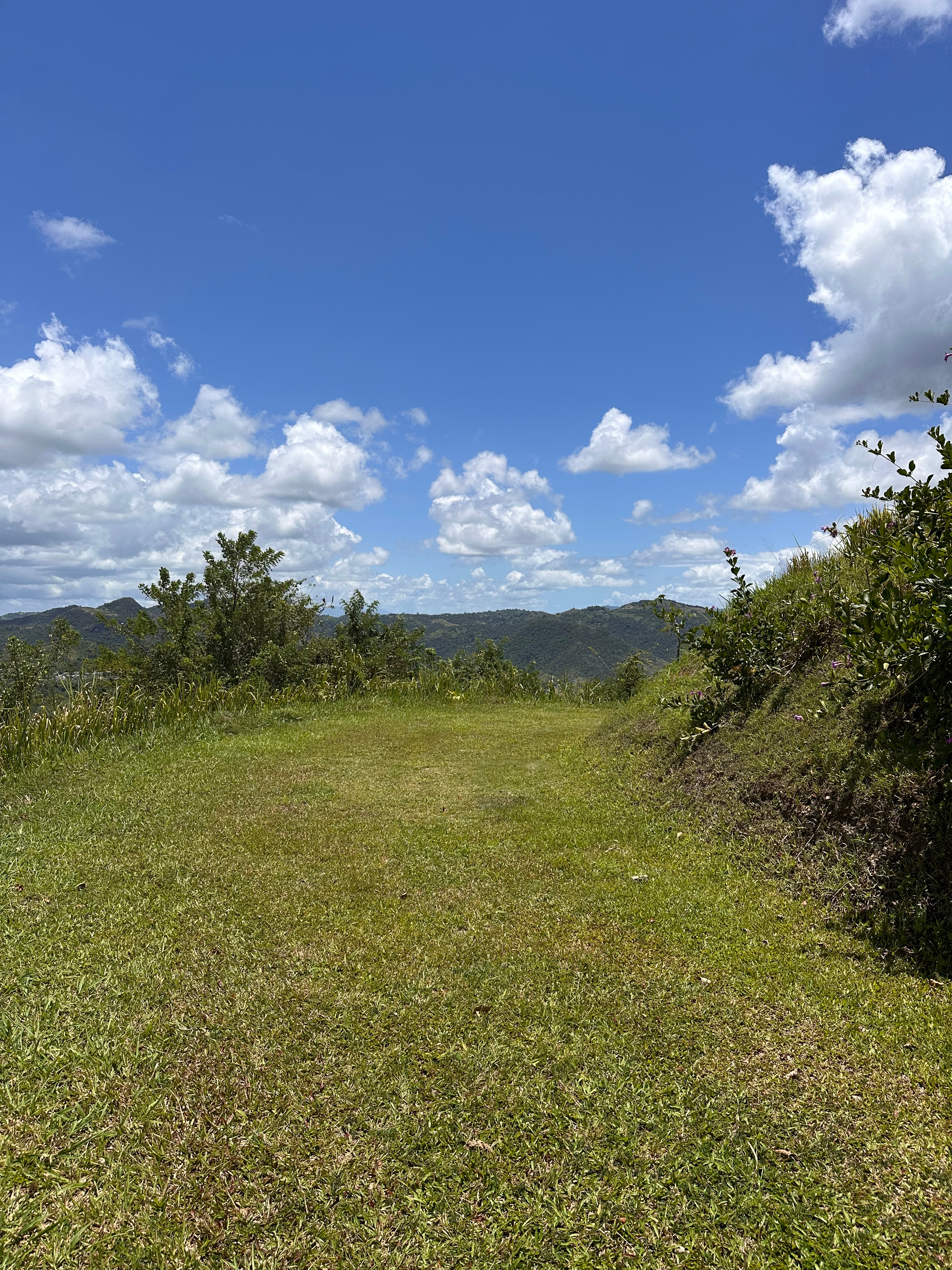 Hacienda 360
