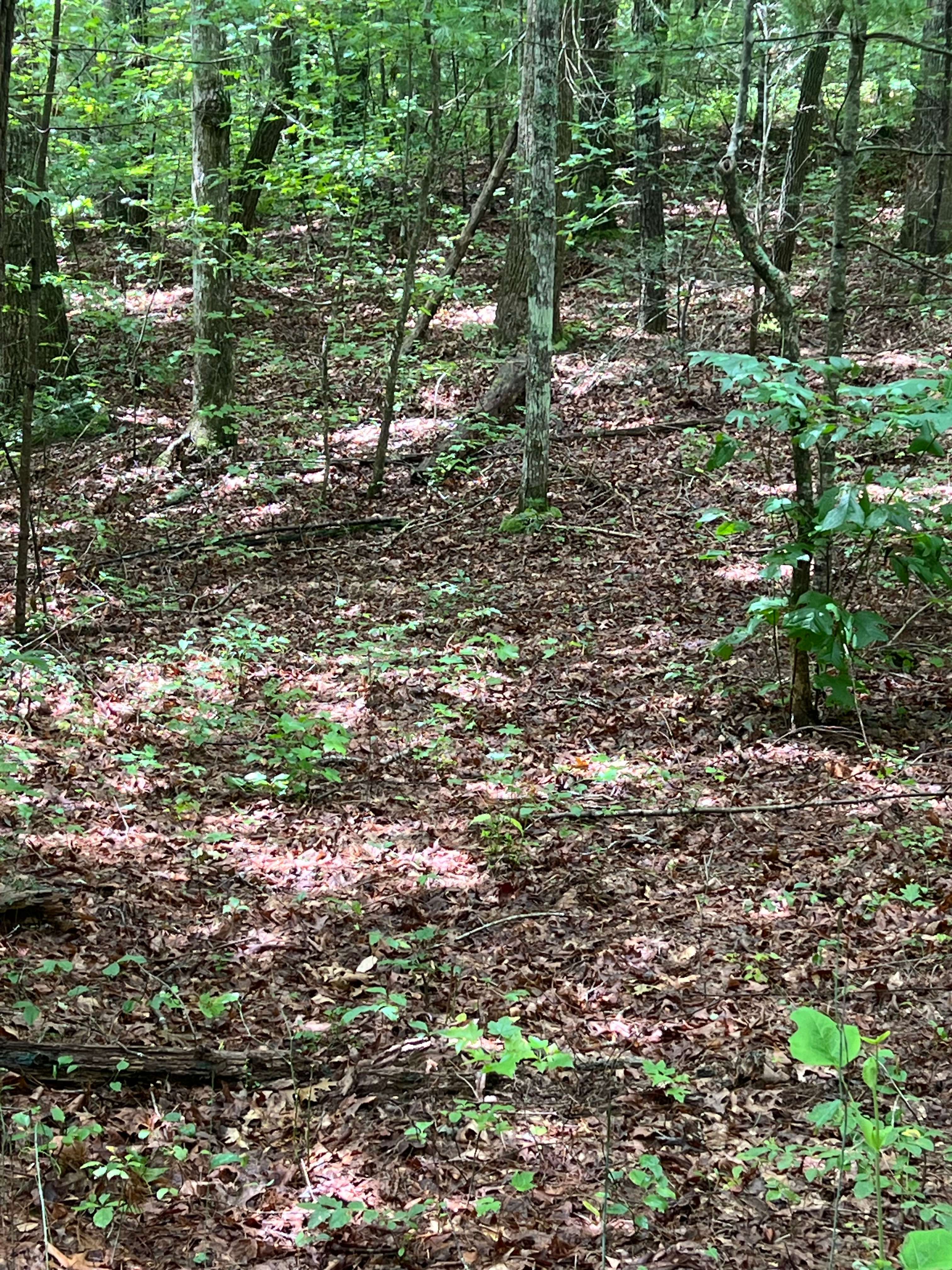 Ironsburg Basecamp