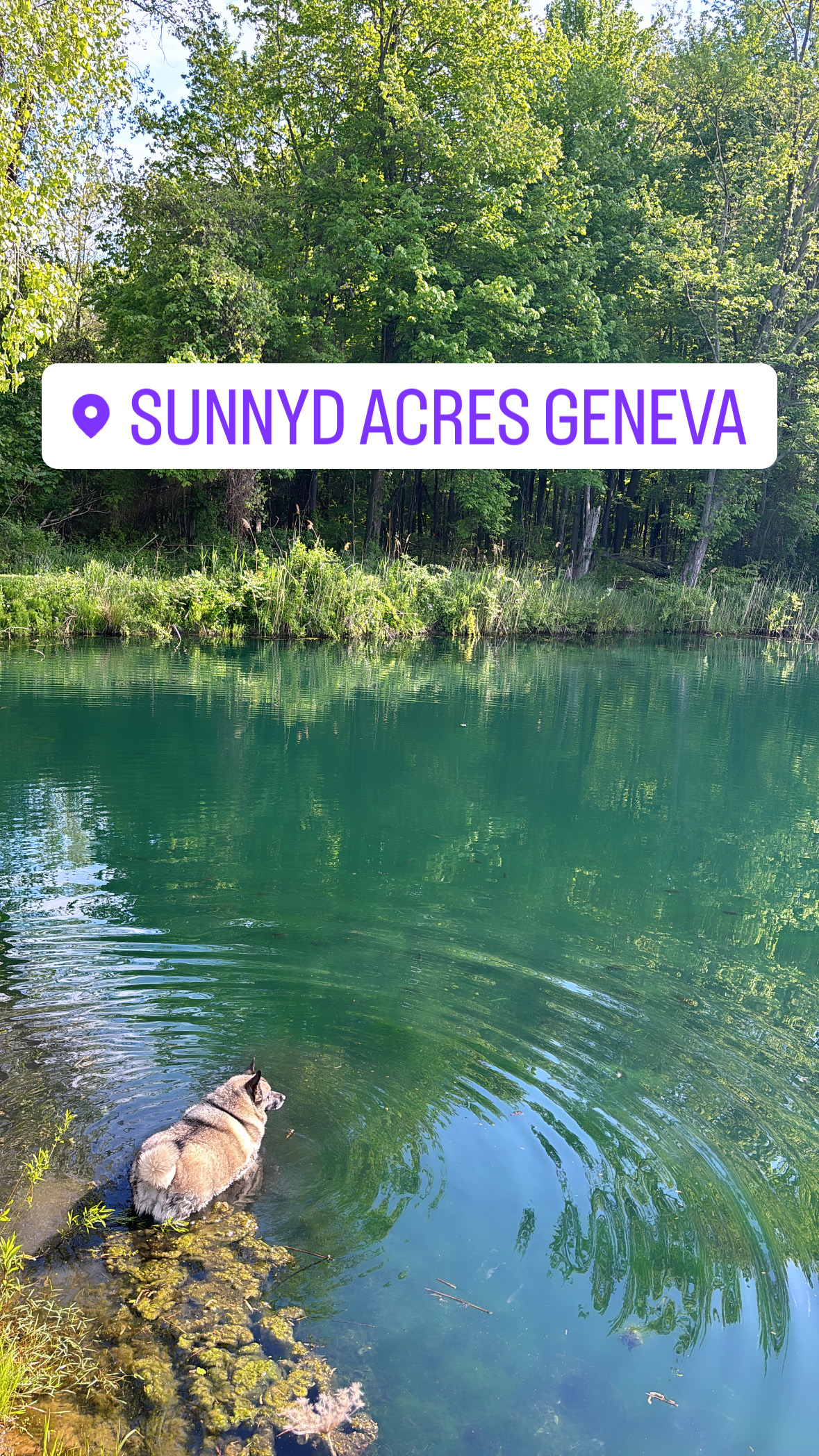 Sunnyd Acres Wine Country