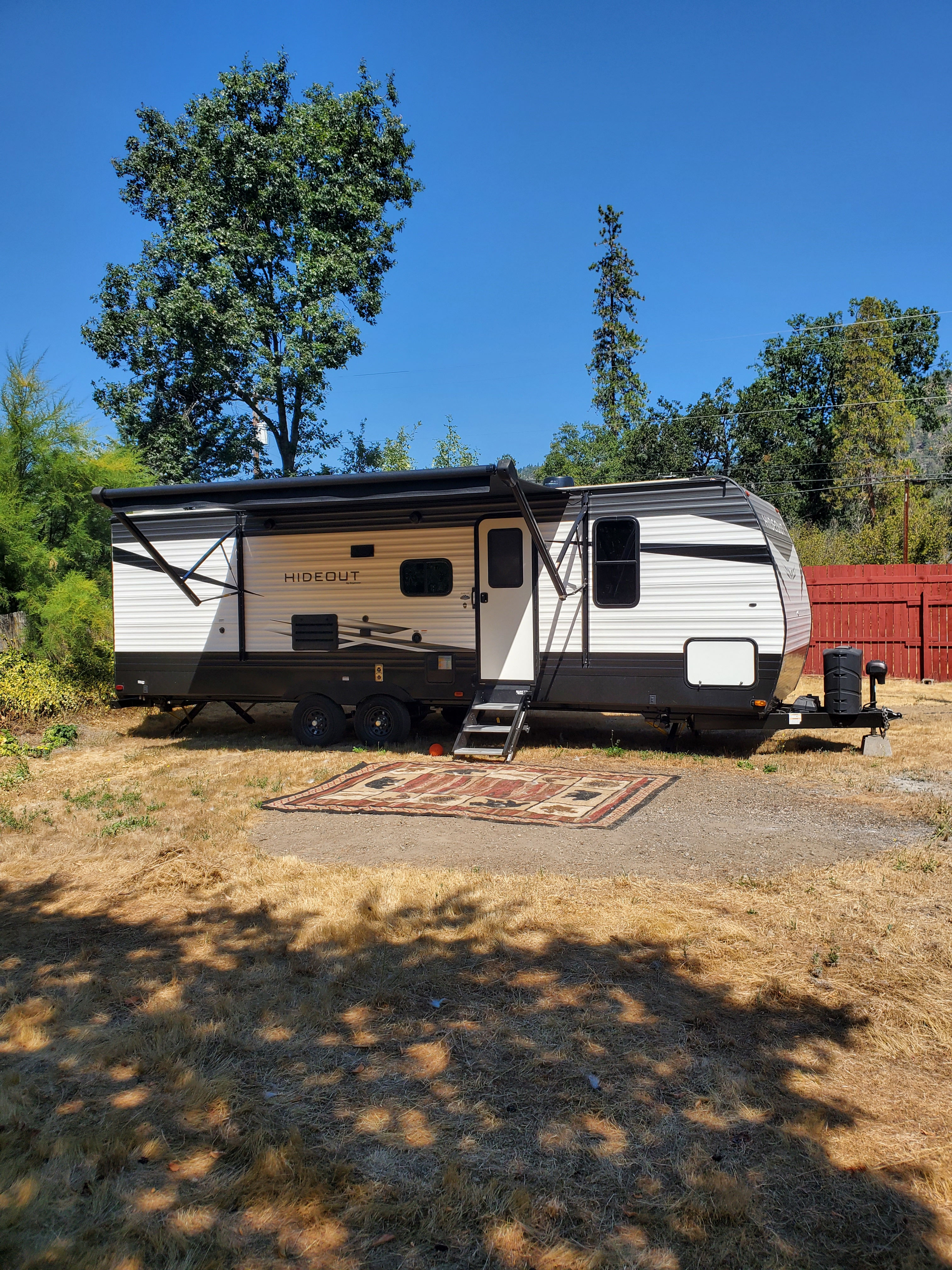 Little Critters Homestead