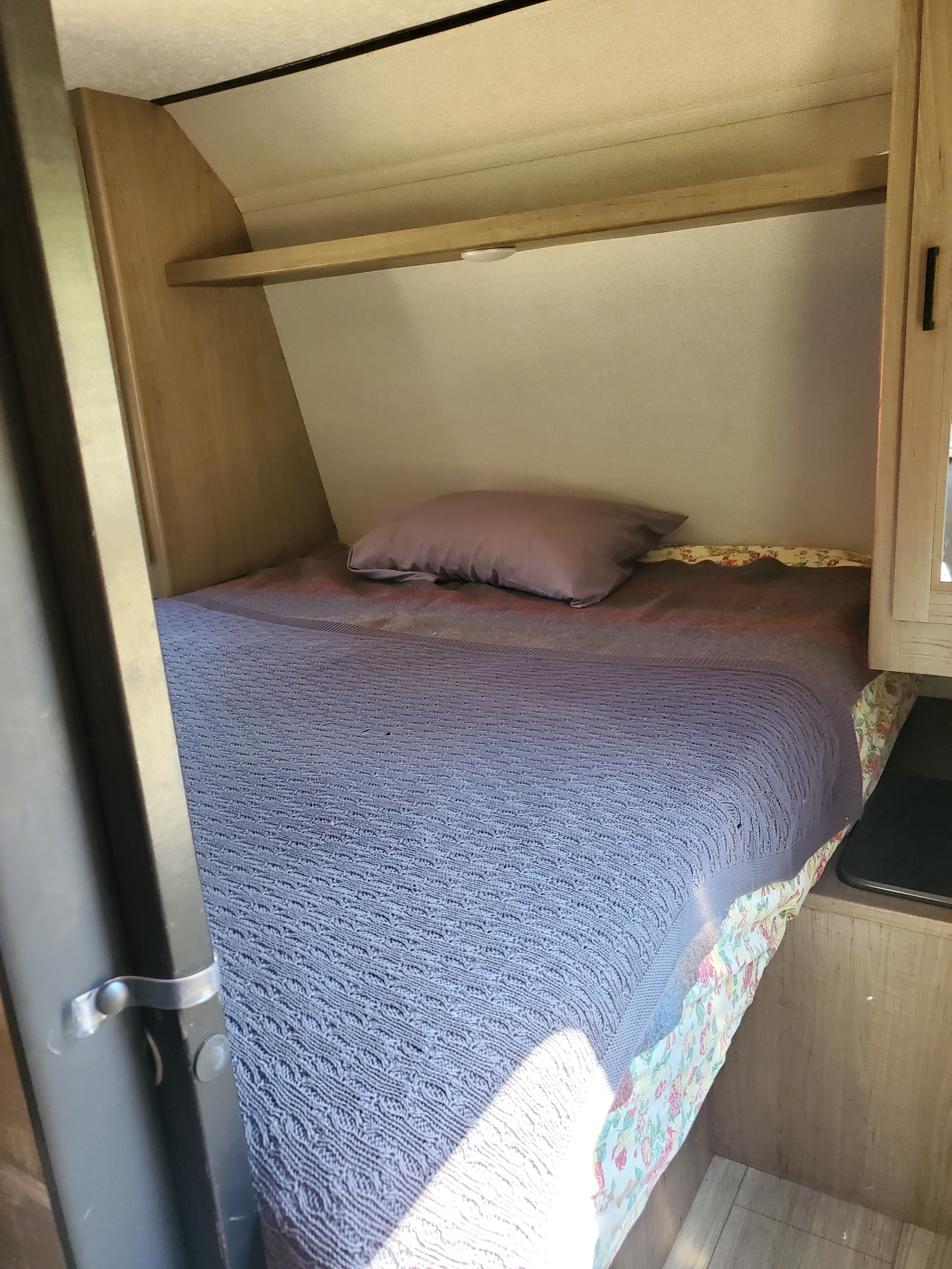 Little Critters Homestead