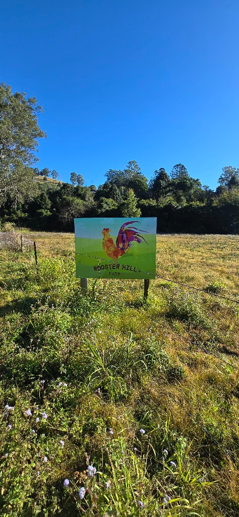 Creekside Camping Amamoor