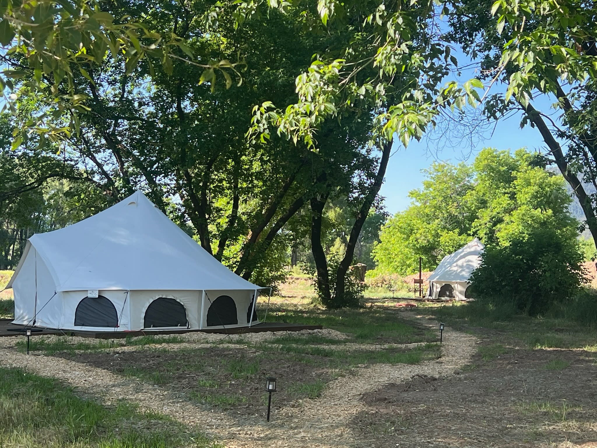 Lounge tent with sleeping tent in the background, view from the kitchen area.