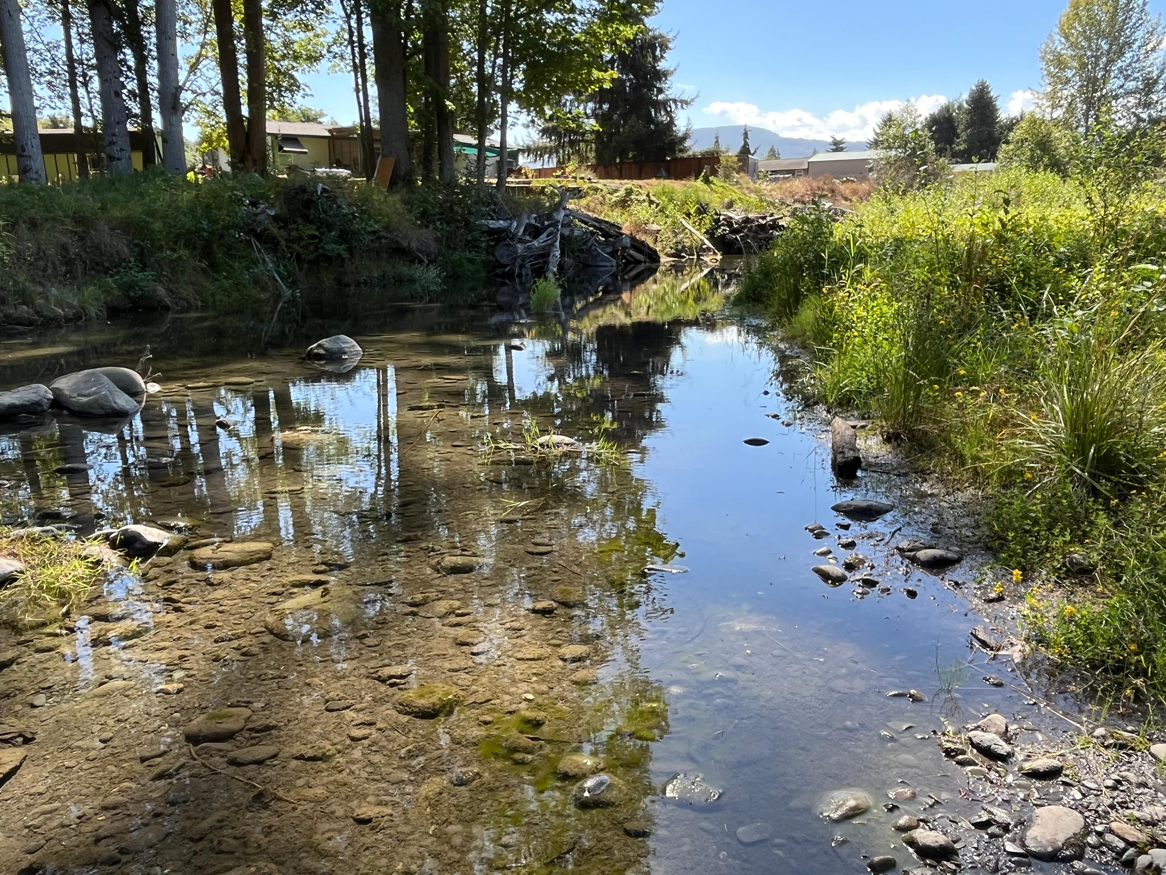 Dungeness Island tent camp sites