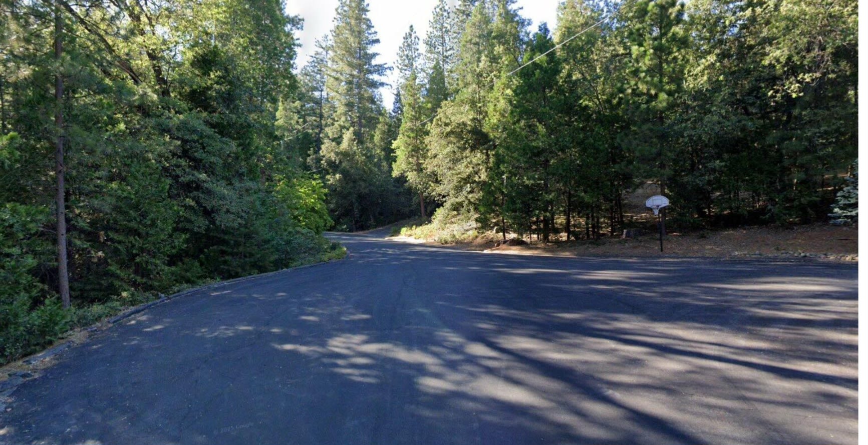 Close to Yosemite-Gold Rush Camp Si