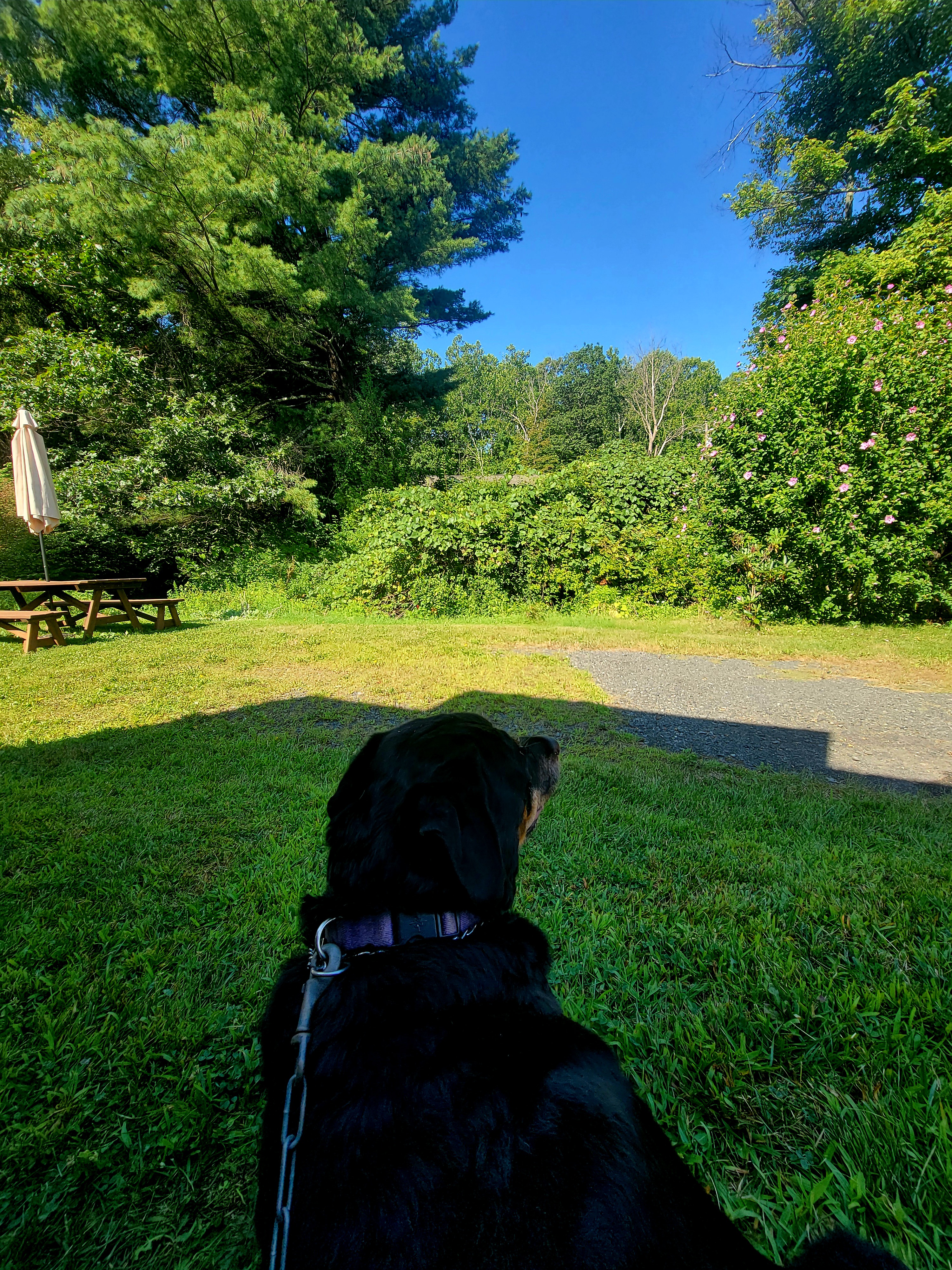 Heart Of Poconos RV Campsite