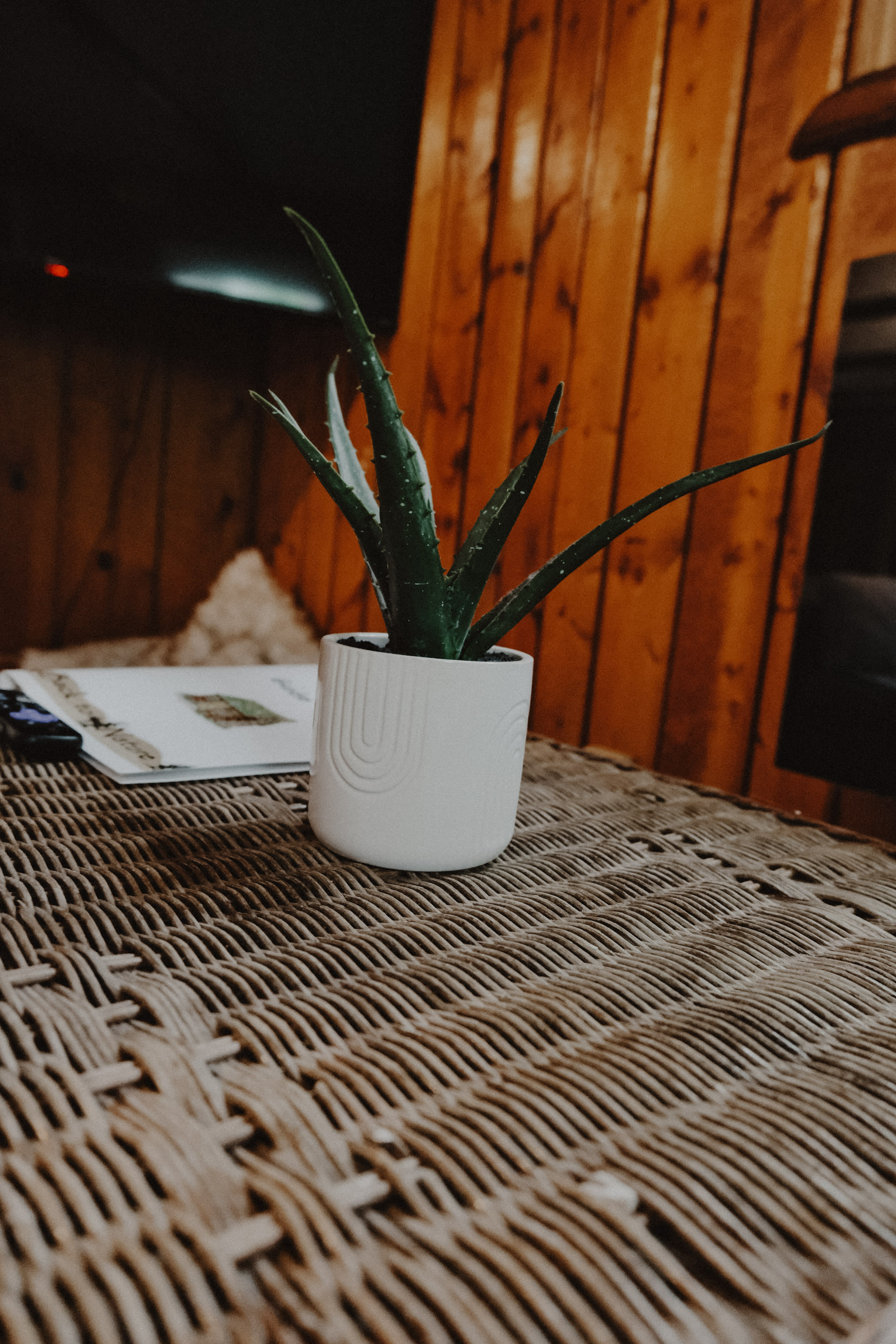 New Lady Of The Lake On Lake Huron