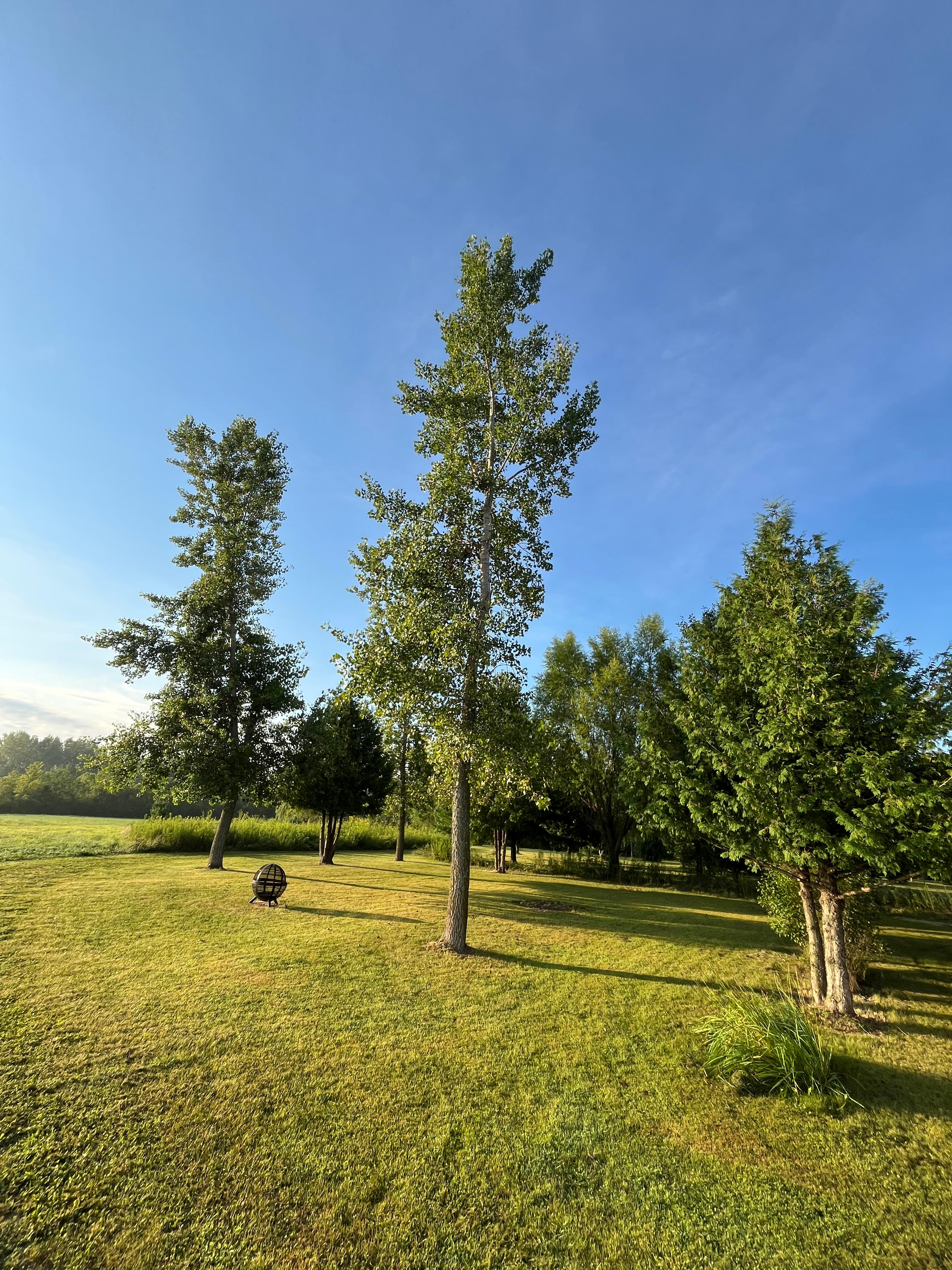 Lanesboro Acres
