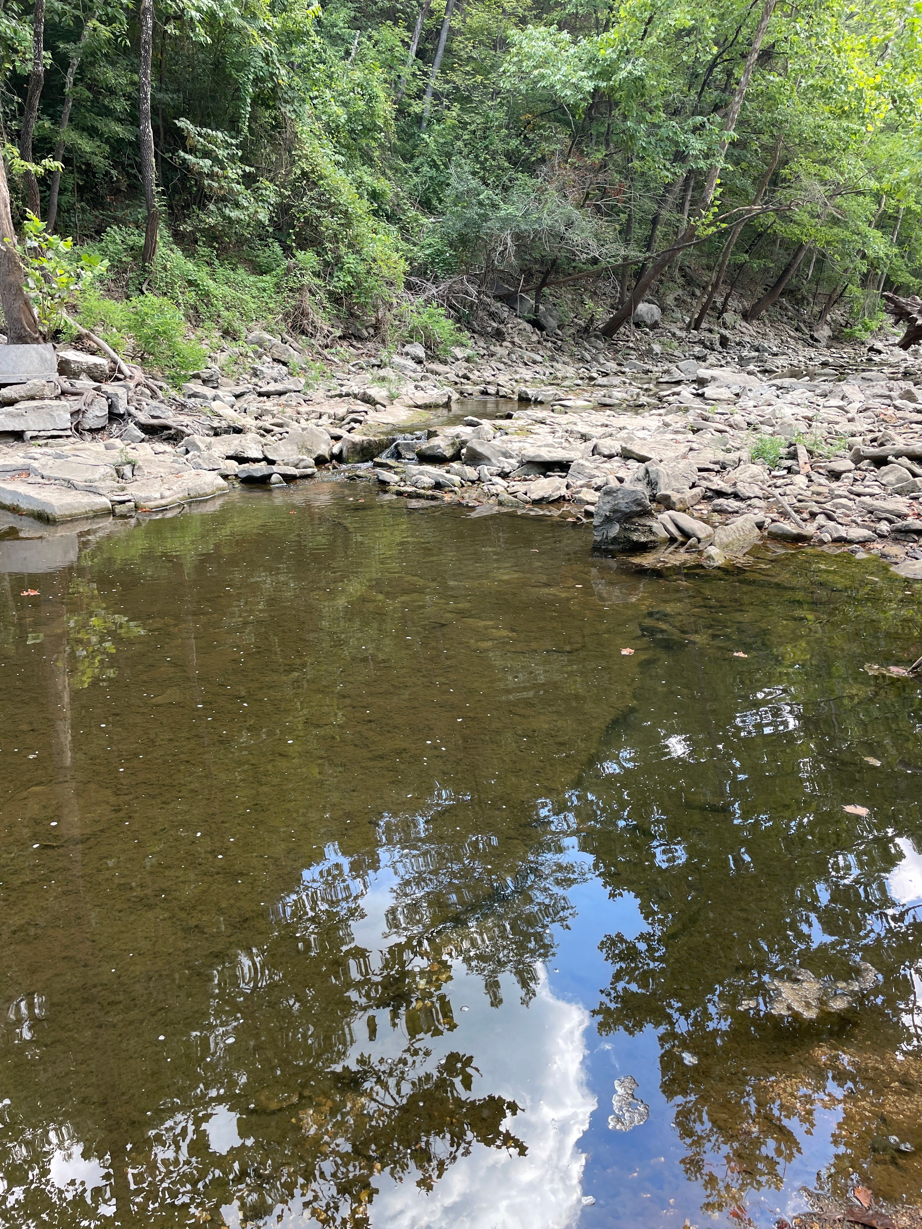 Ozark Mtn. Goats Creekside Camping.