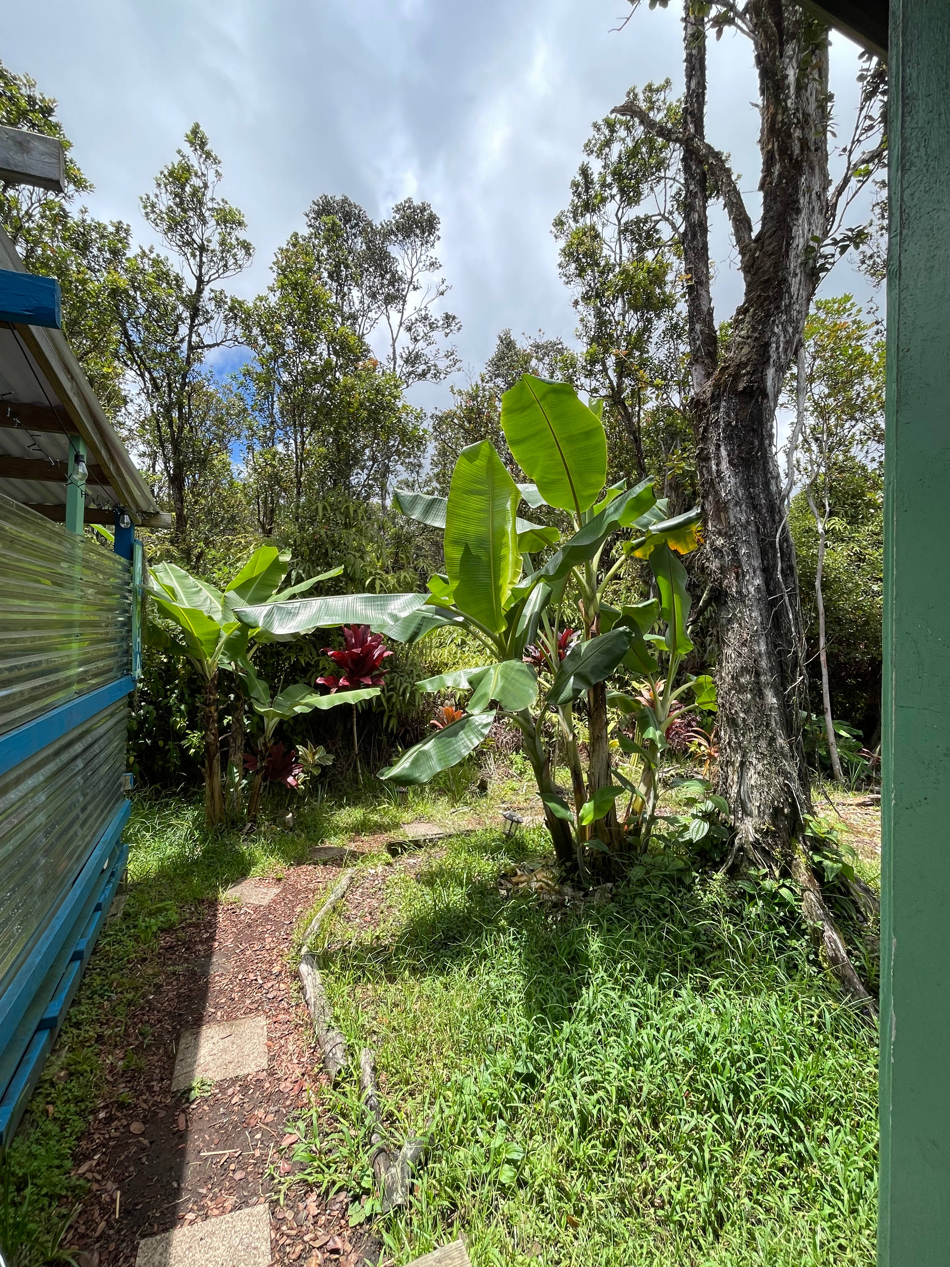 Sacred Mauna Fern Forest Retreat