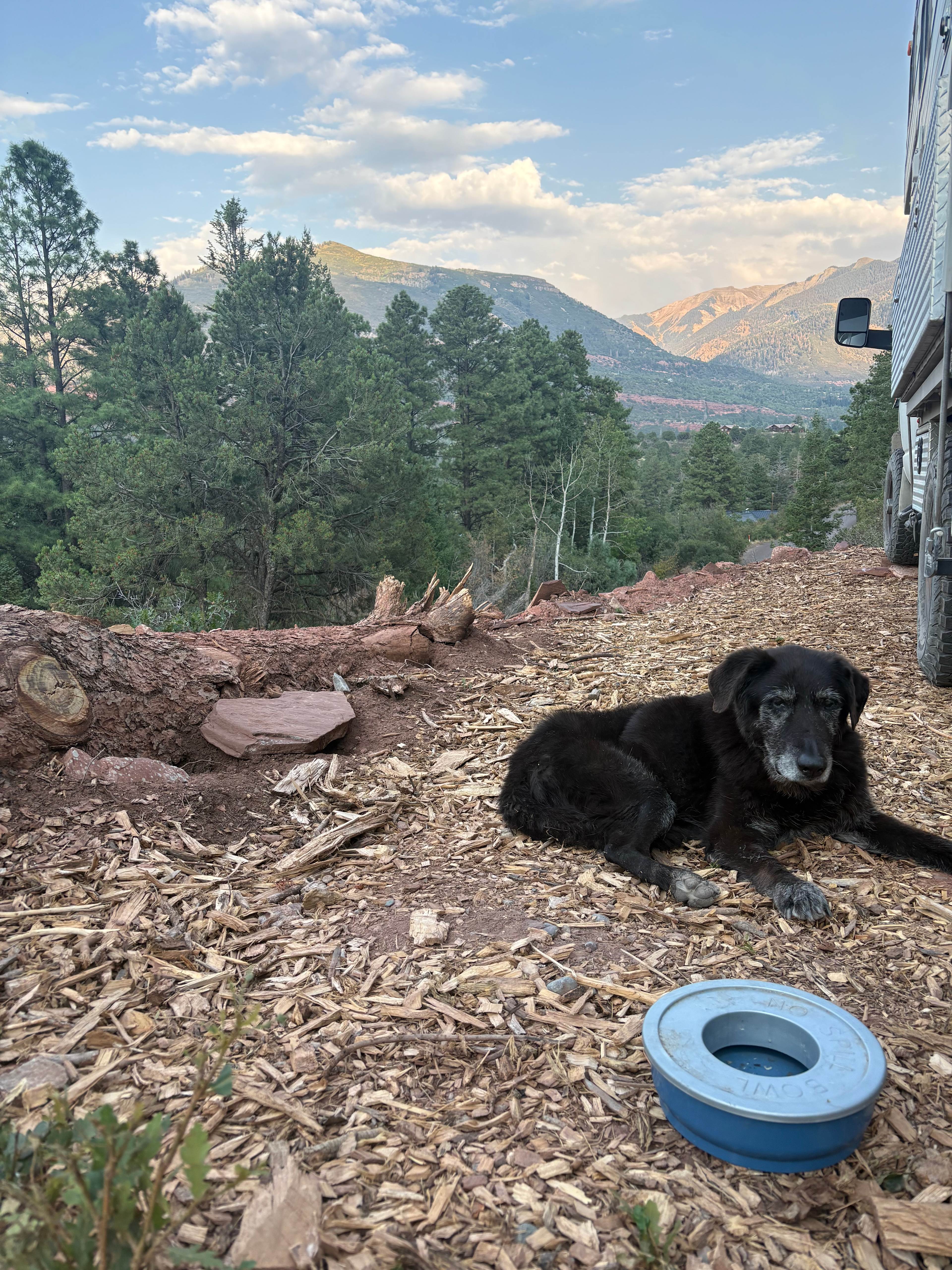 Mylee enjoying the view