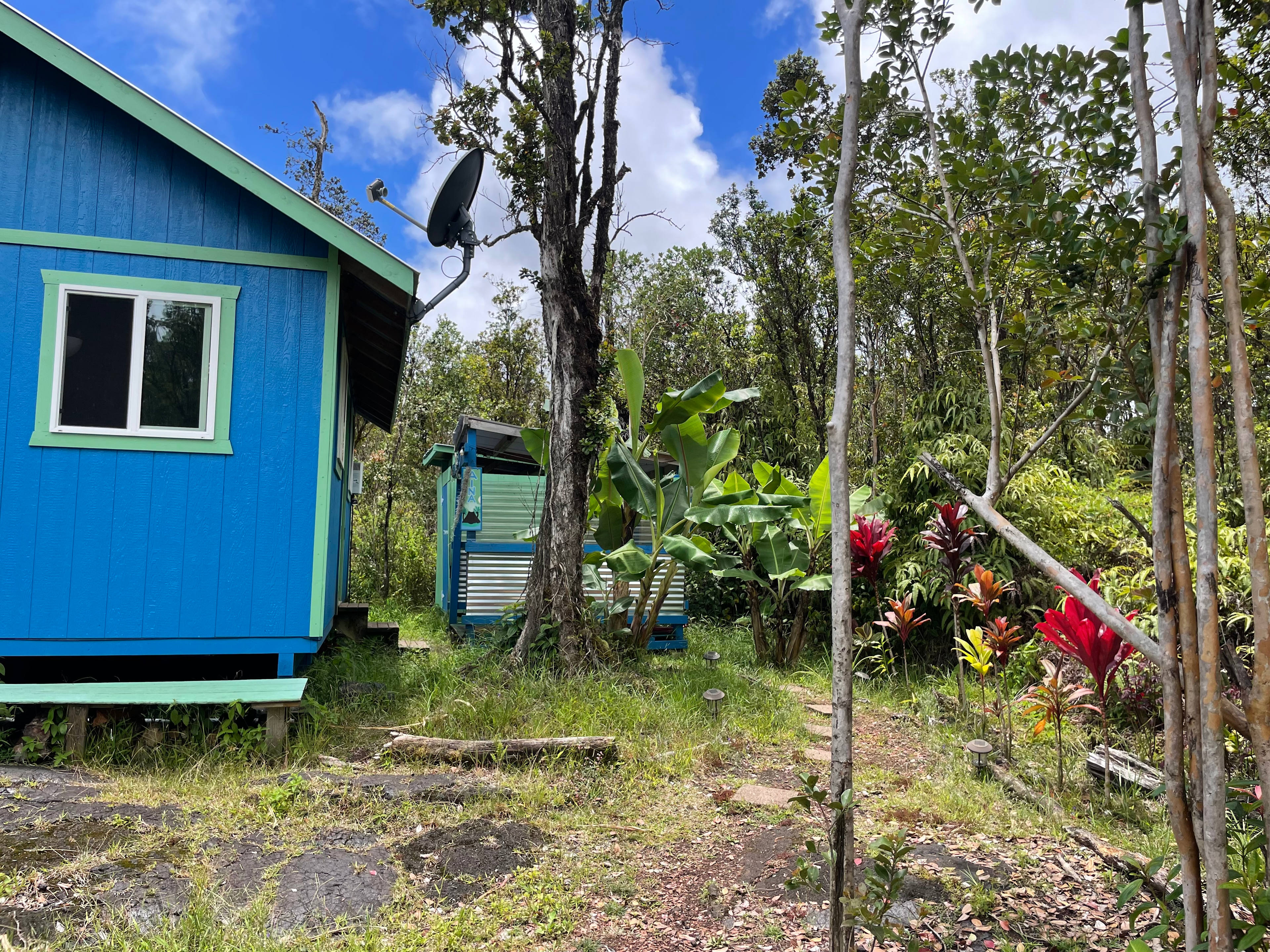 Sacred Mauna Fern Forest Retreat
